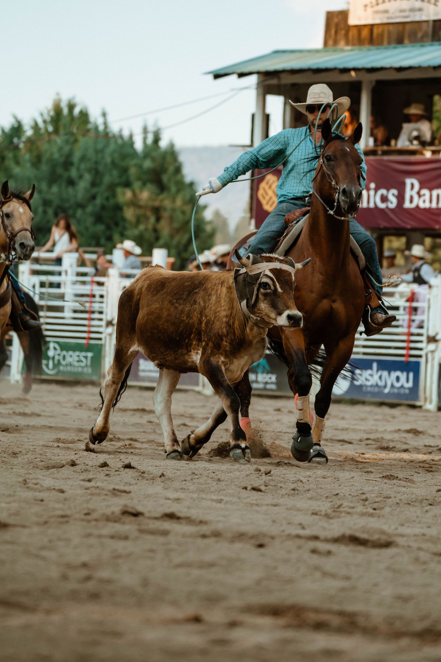 Dramatic sequence of a bucking horse during a rodeo competition in a dirt arena.