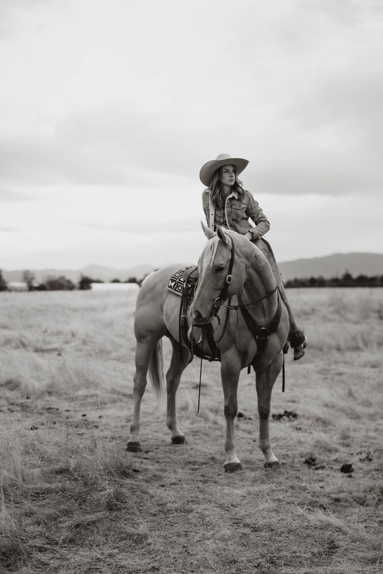 Black and white photographs of horses with western tack in an open field landscape.