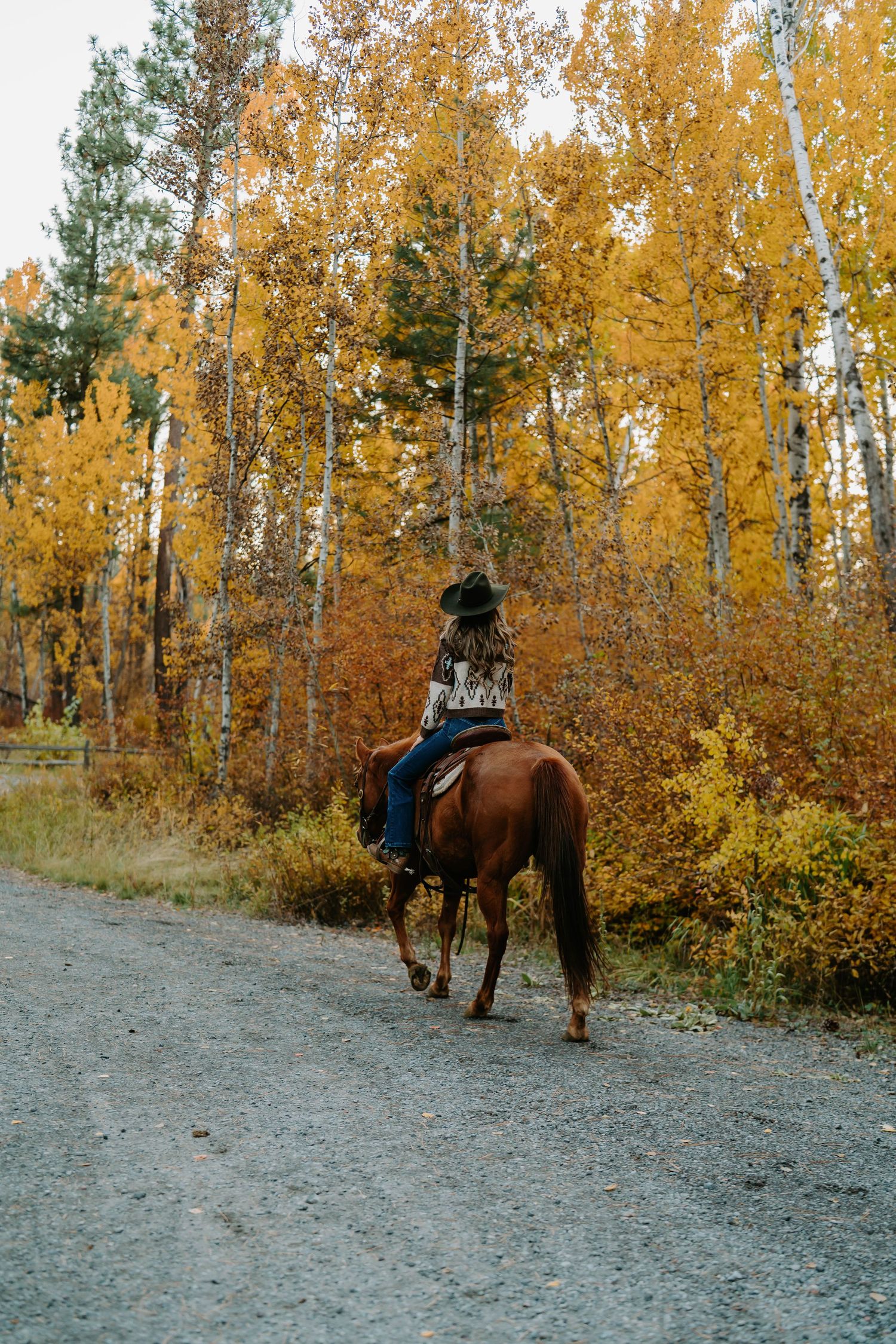 Horseback rider traversing a mountain trail surrounded by golden aspen trees.