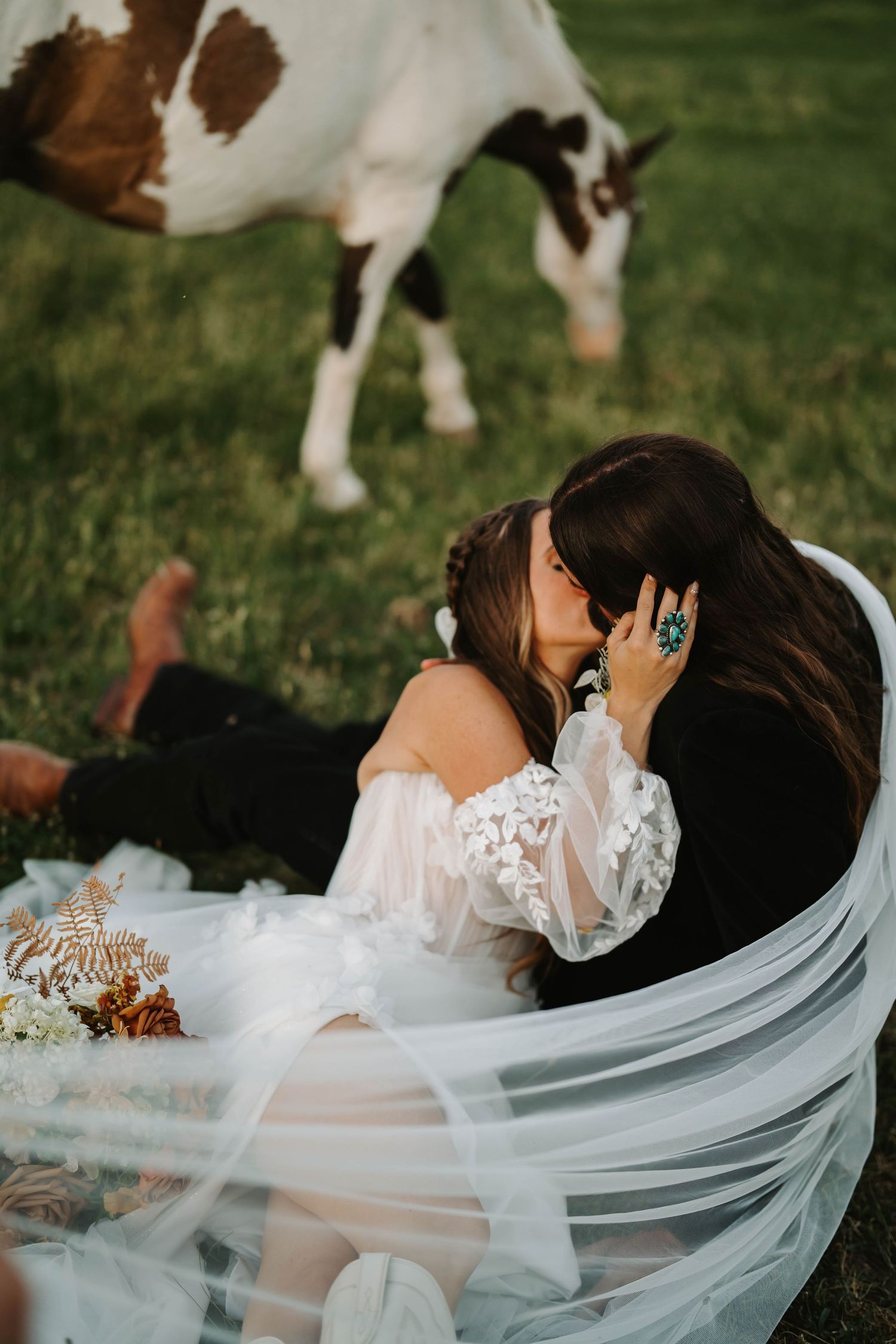 Wedding veil billowing in the wind with spotted horses grazing in background.