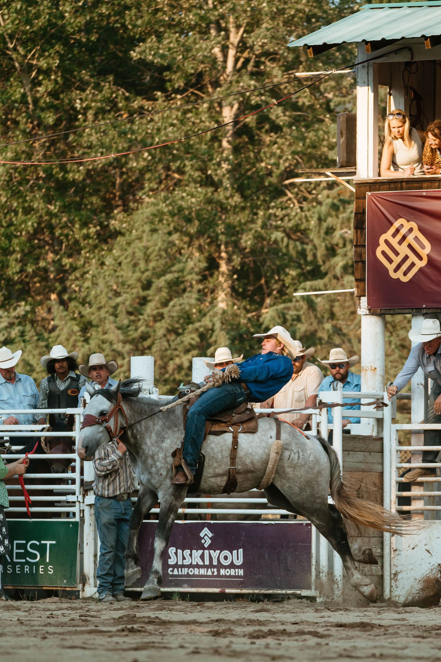 Bronc rider attempts to stay mounted on a bucking horse during a rodeo competition.