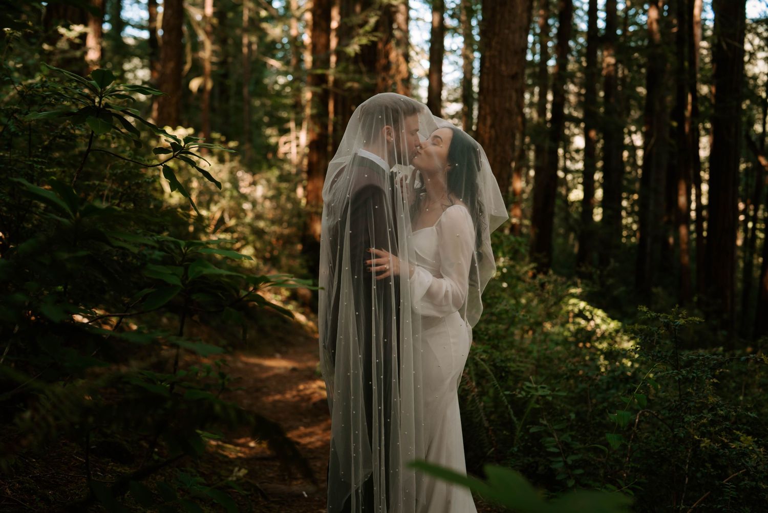 Ethereal wedding portraits in a misty forest with sunlight filtering through trees.