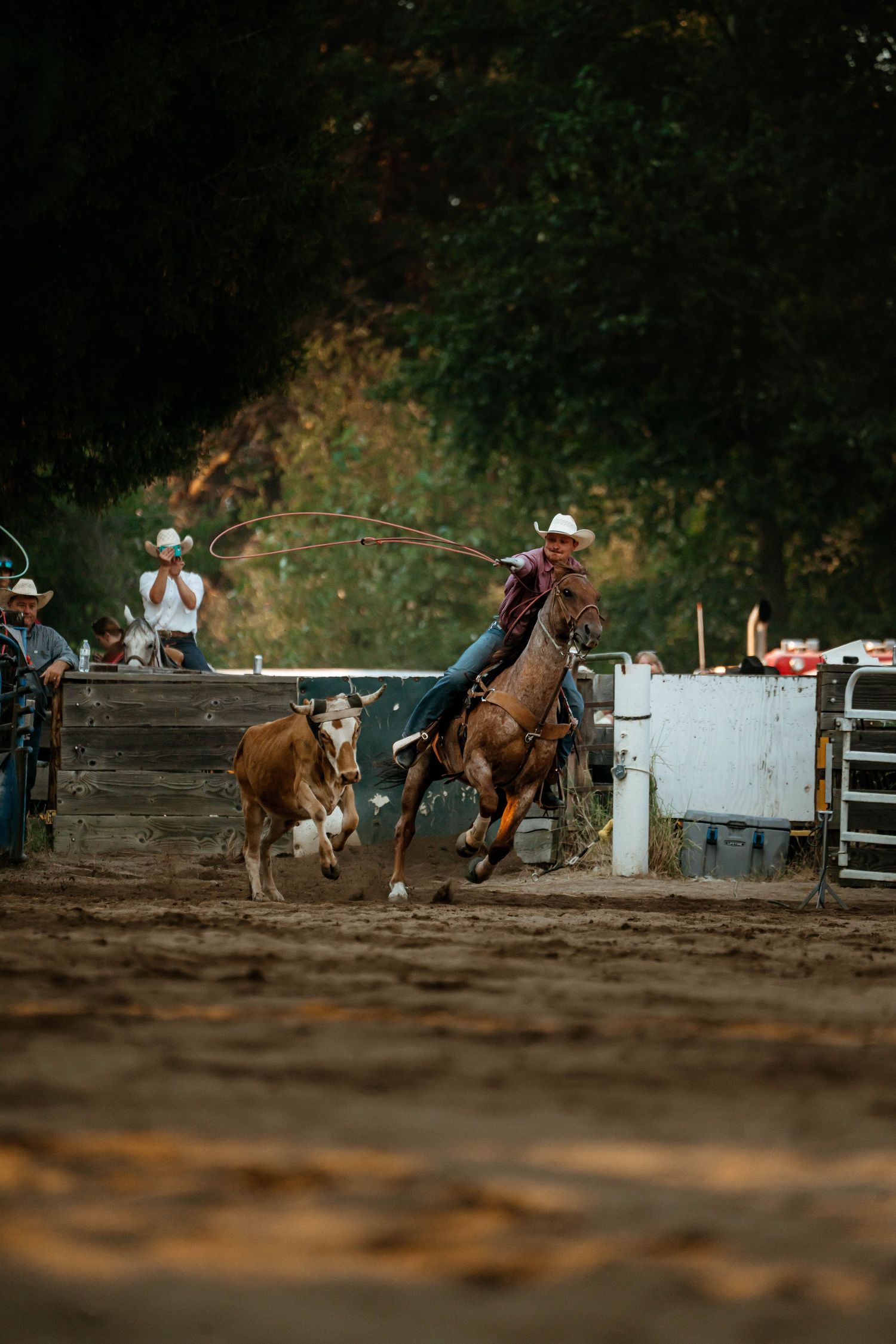 Action sequence of bronc riding at a rural rodeo event with spectators watching.