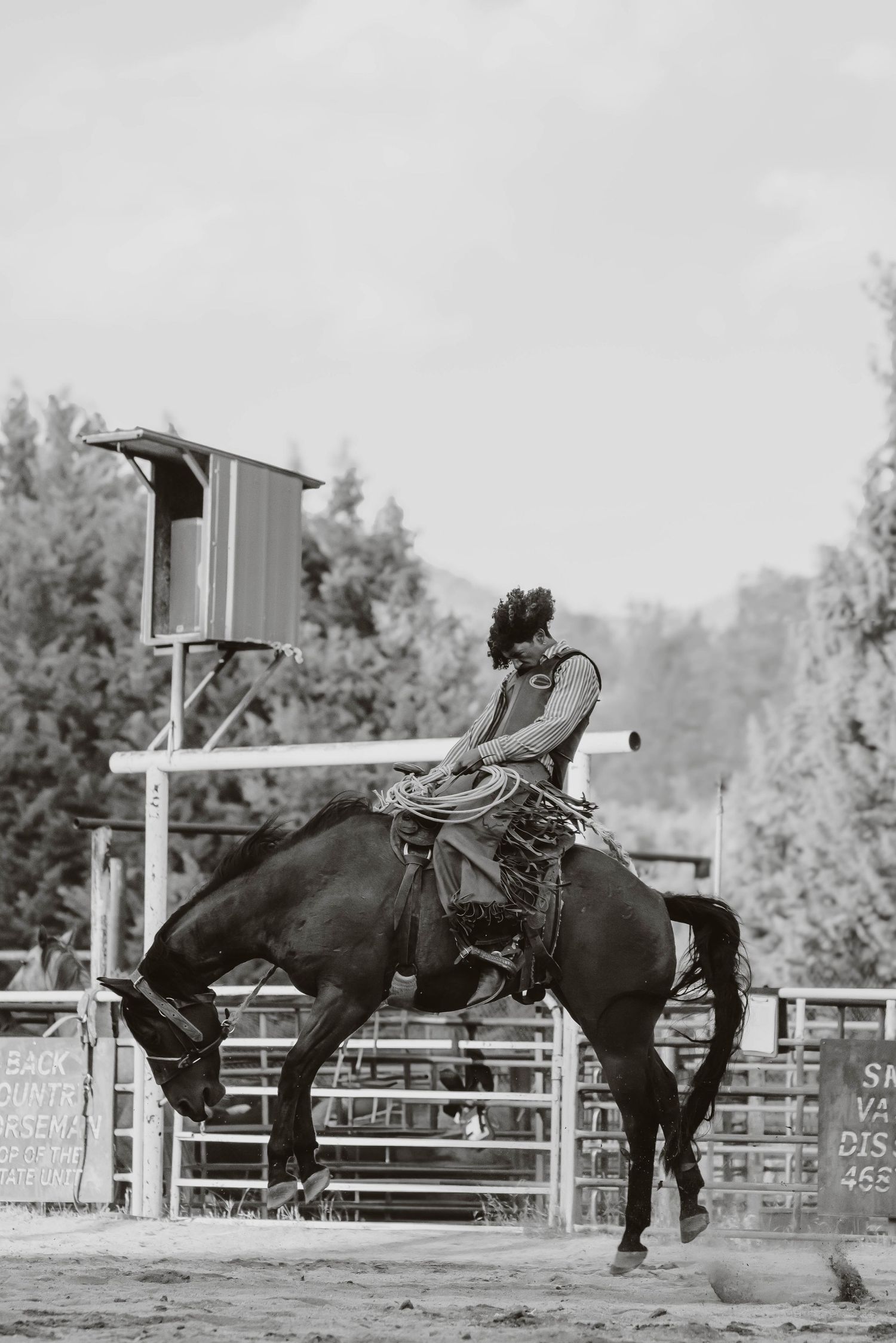 A sequence of a horse bucking and throwing its rider during a rodeo competition.