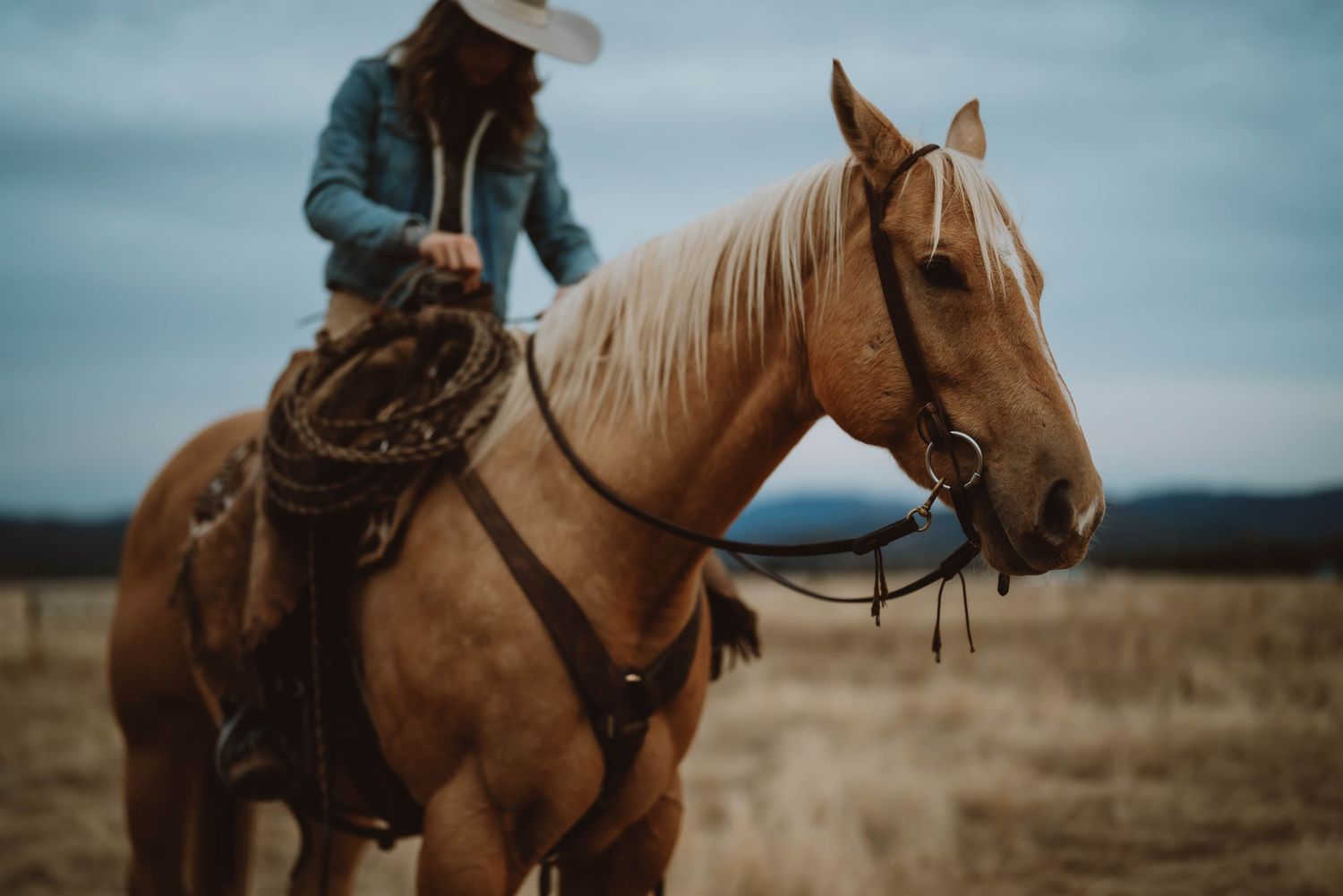 Riders on horseback traverse a scenic landscape under moody skies.