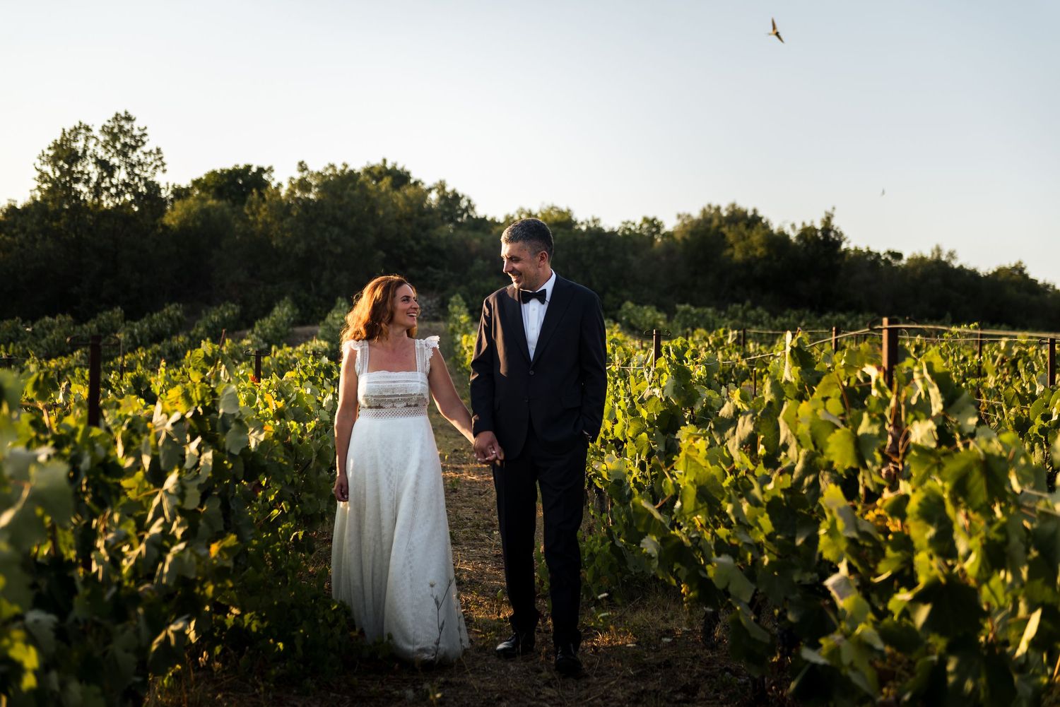 Couple walking through vineyard rows during golden hour wedding photography session.