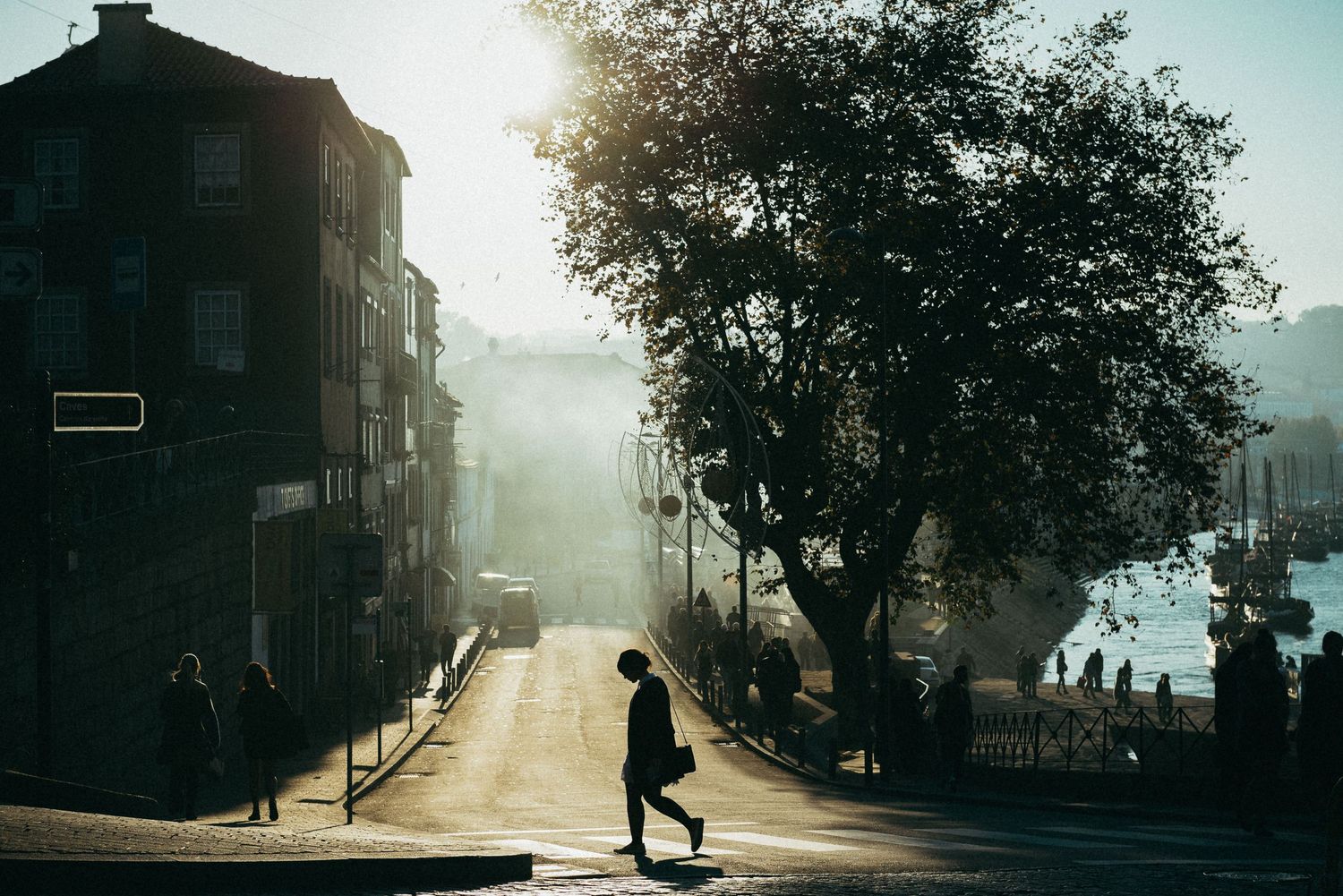 Misty morning street scene with sunlight breaking through trees and silhouetted figure.