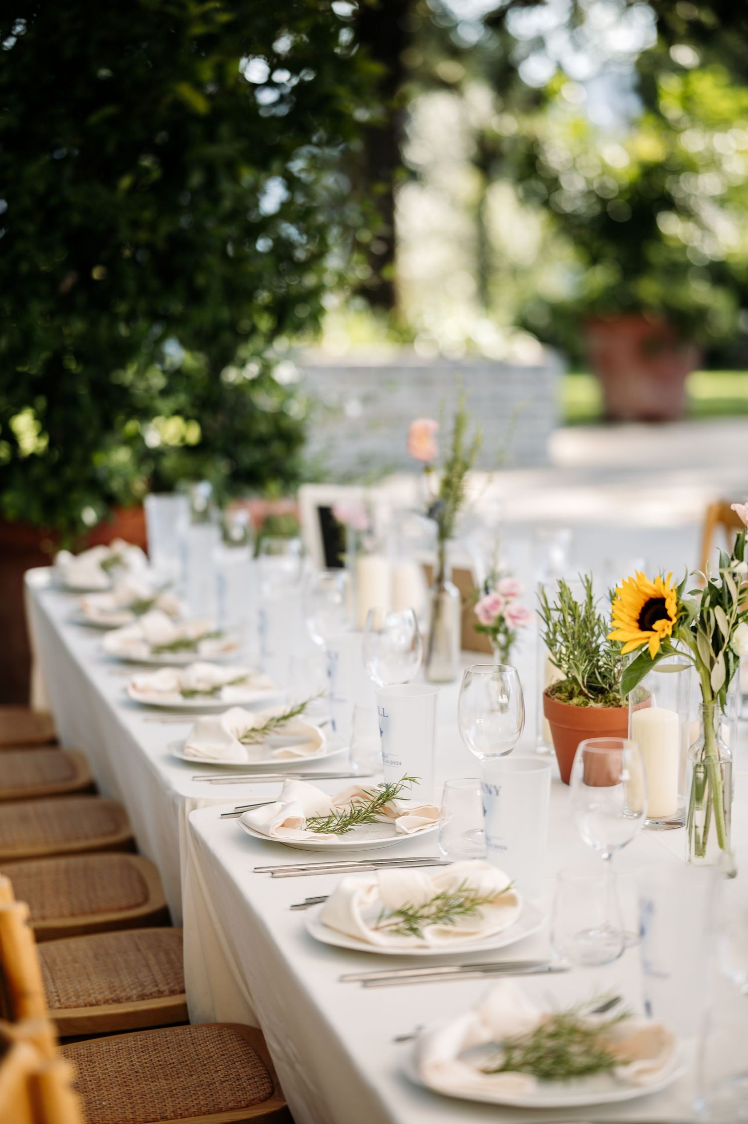 Elegant outdoor wedding table settings with sunflowers and rustic decor under natural lighting.