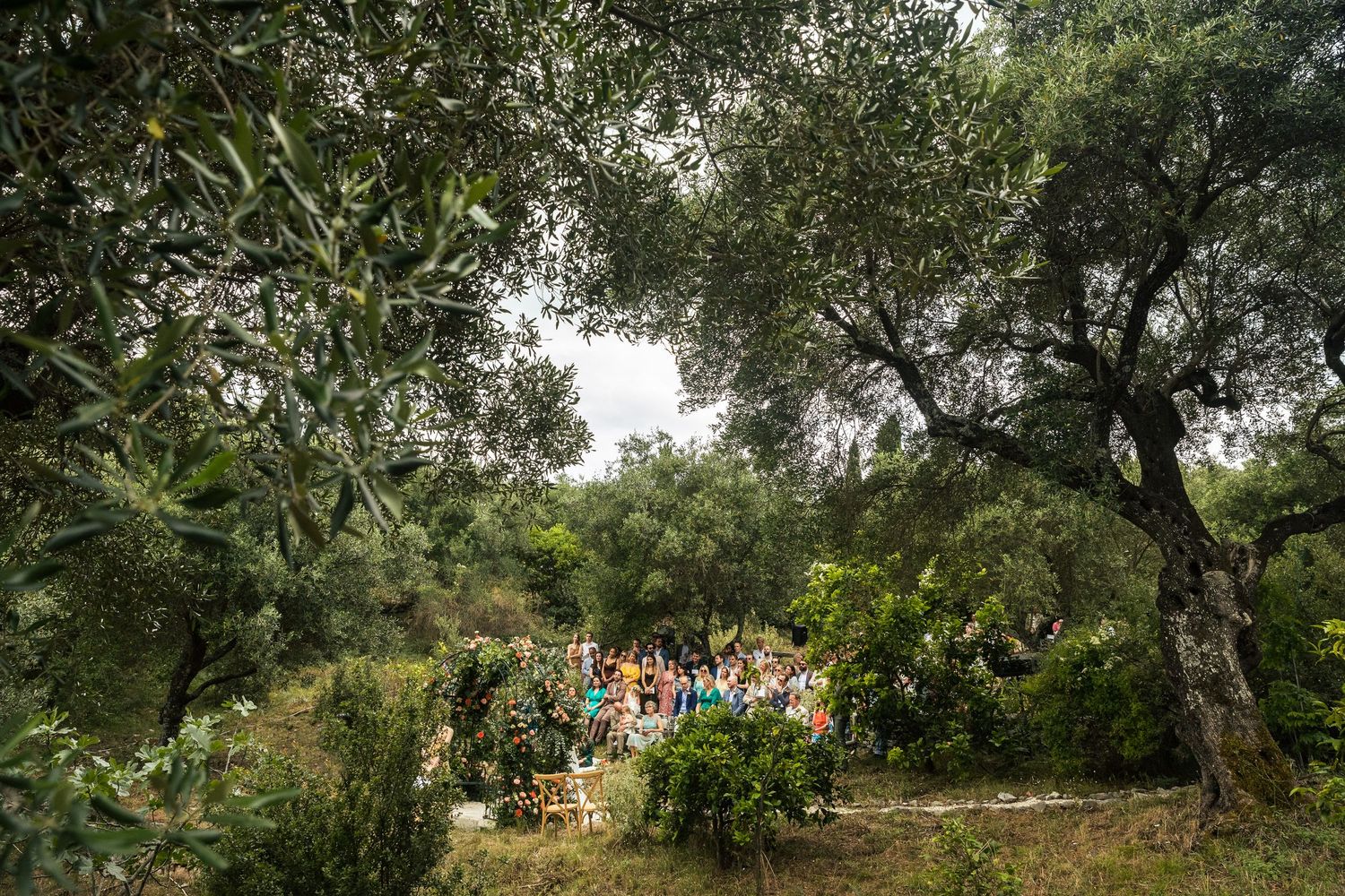 Serene outdoor wedding venue with olive trees and natural landscaping.