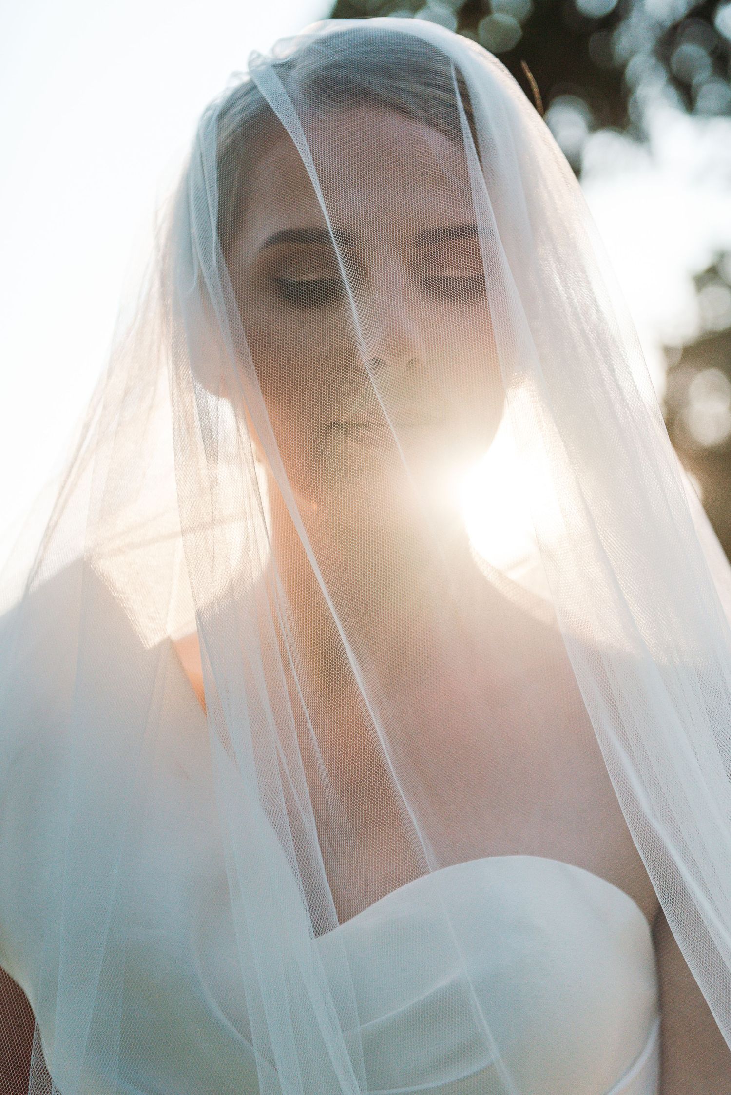 A dreamy bridal portrait series showing close-up ethereal views through a delicate white veil in soft natural light.