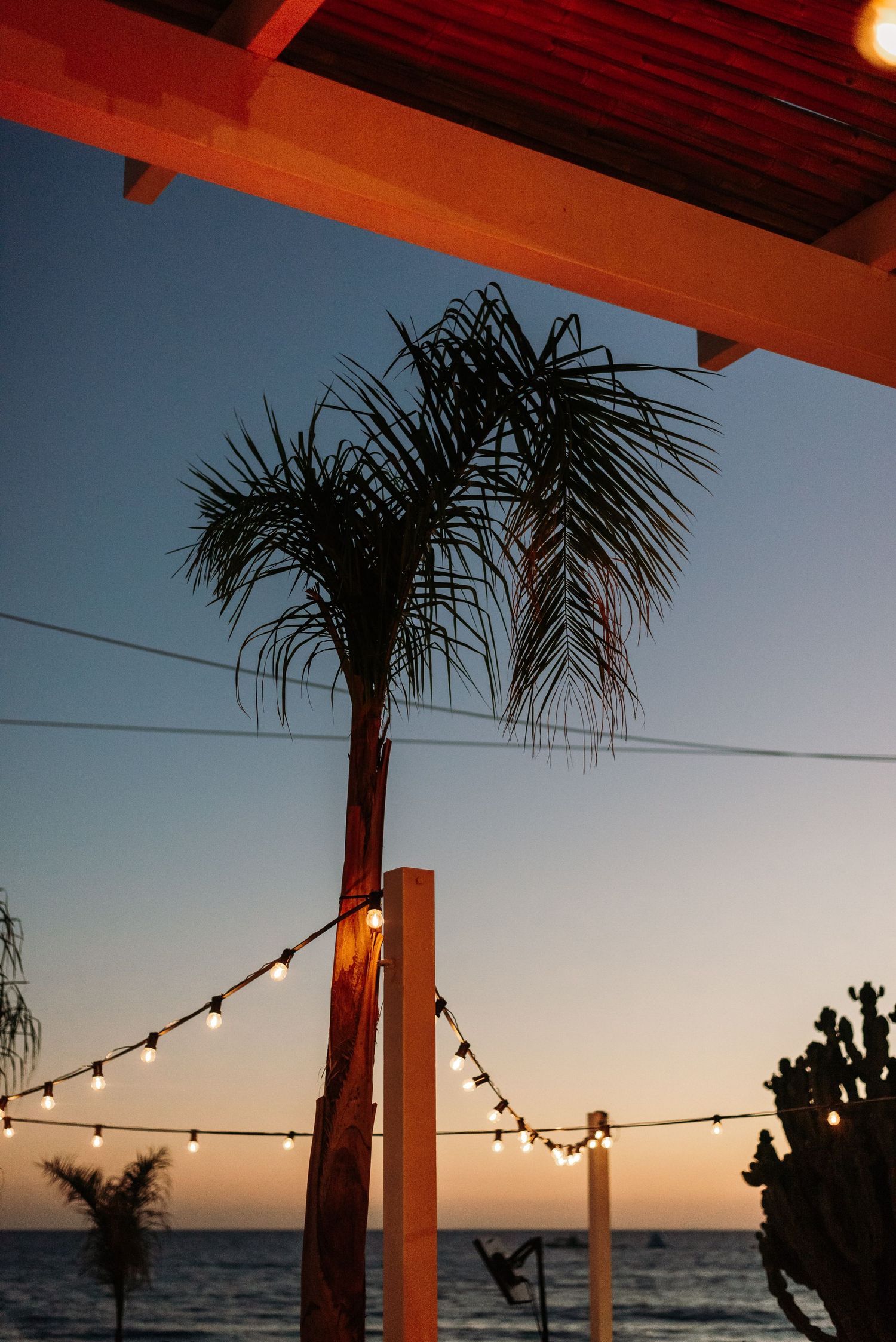 String lights and palm trees create a romantic beachside ambiance at sunset.