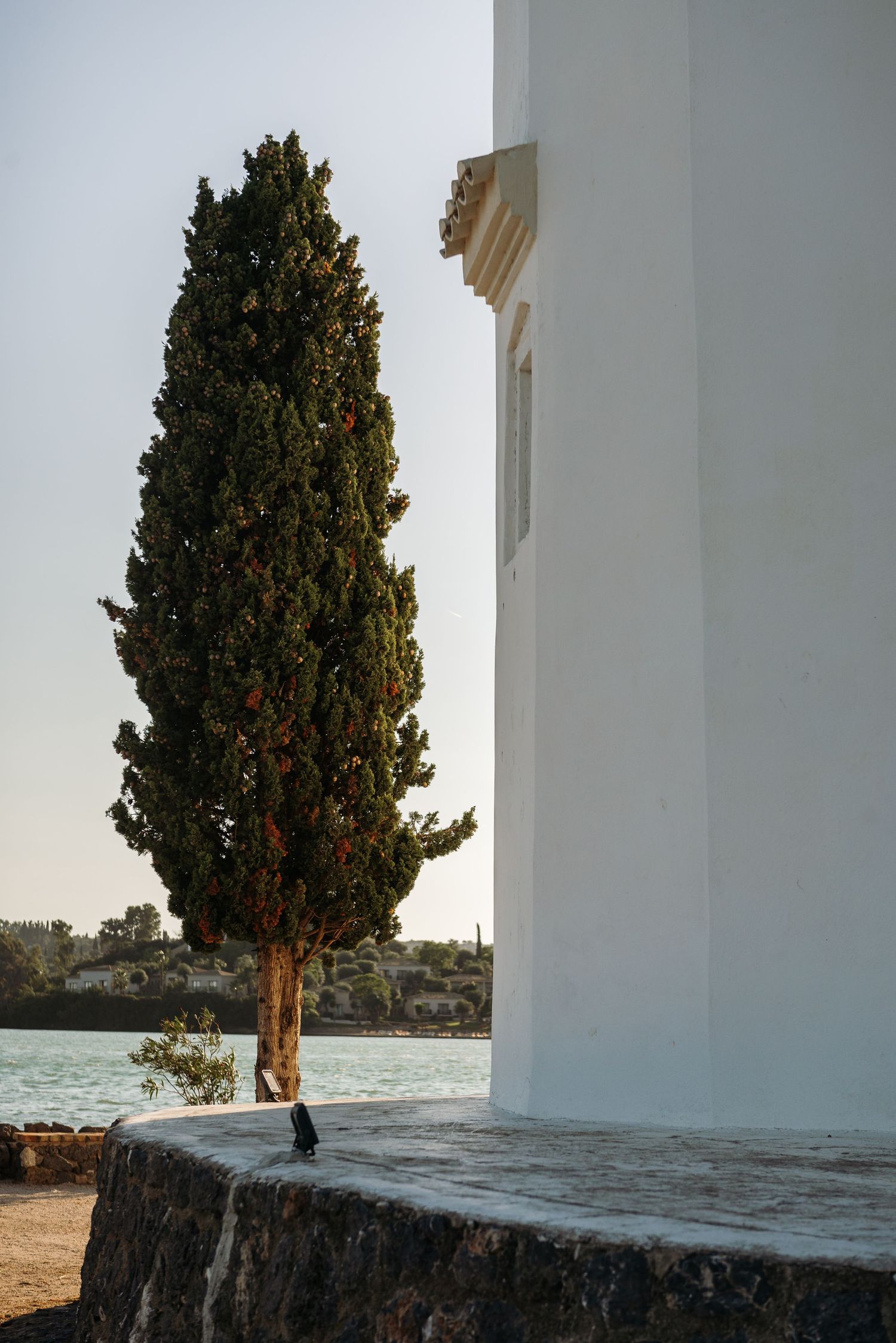 A white Mediterranean church wall with cypress trees creates dramatic architectural lines.