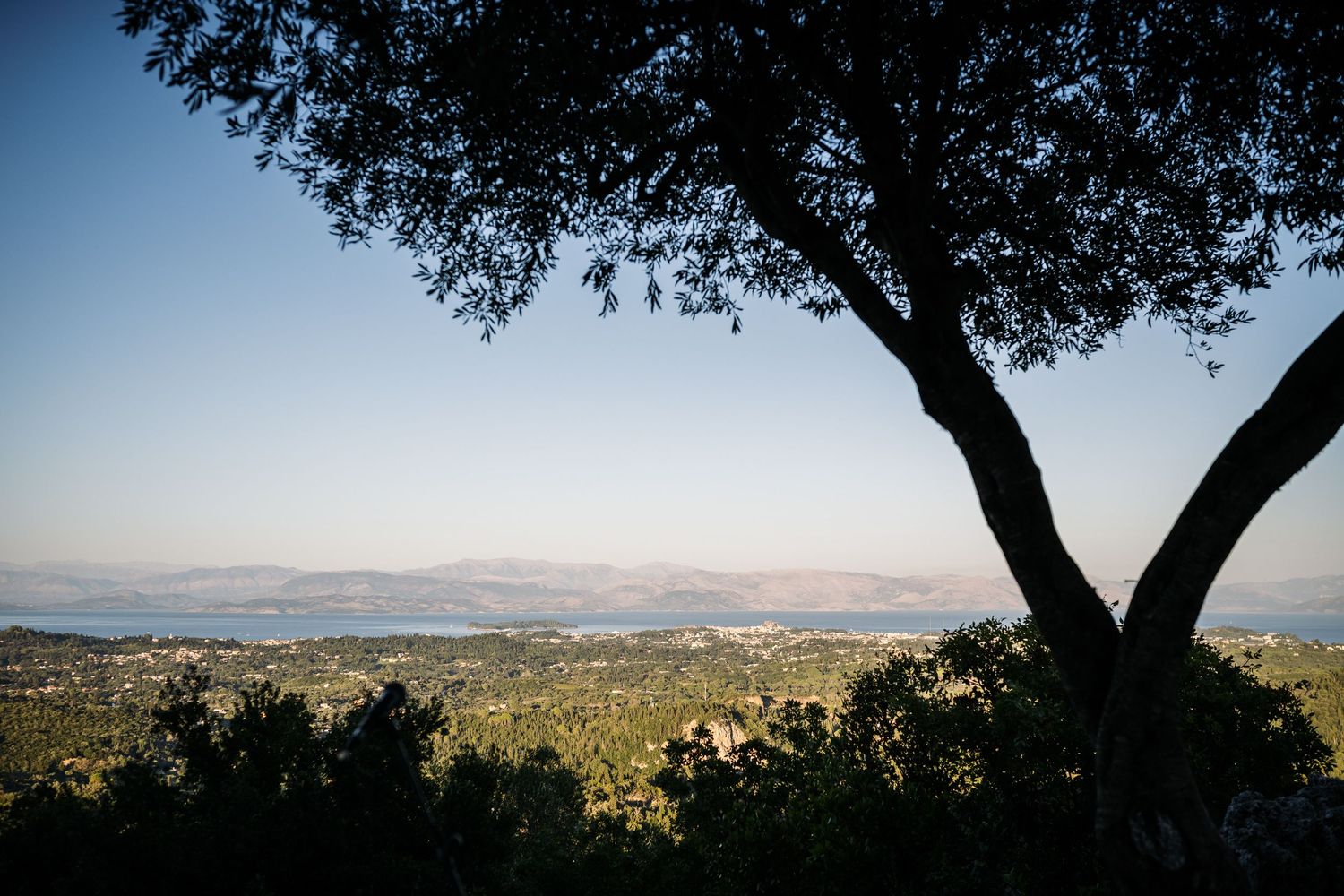 Panoramic mountain landscape view with scattered trees and distant hills.