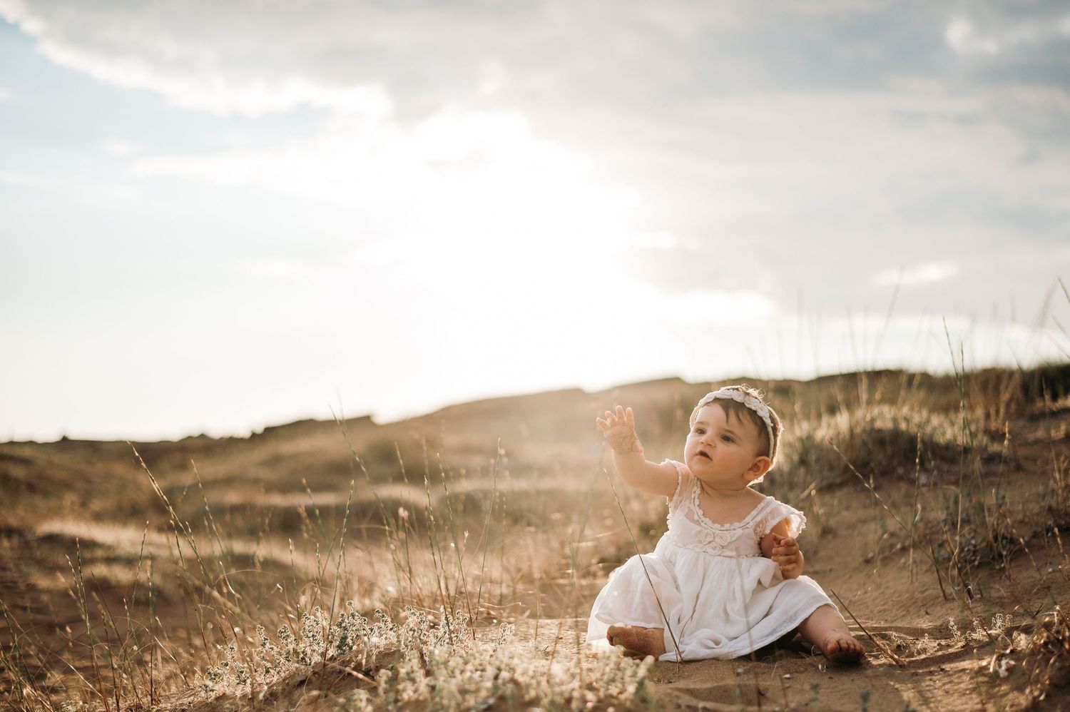 A golden sunset illuminates rolling hills and grassy meadows in a dreamy landscape scene.