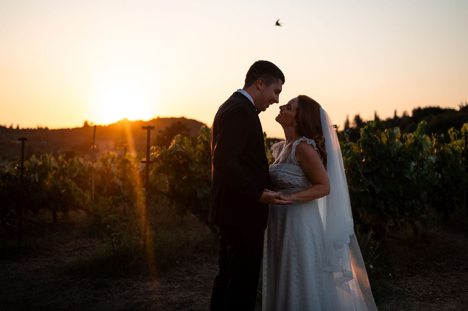 Silhouetted couple embracing in a vineyard during golden hour sunset.