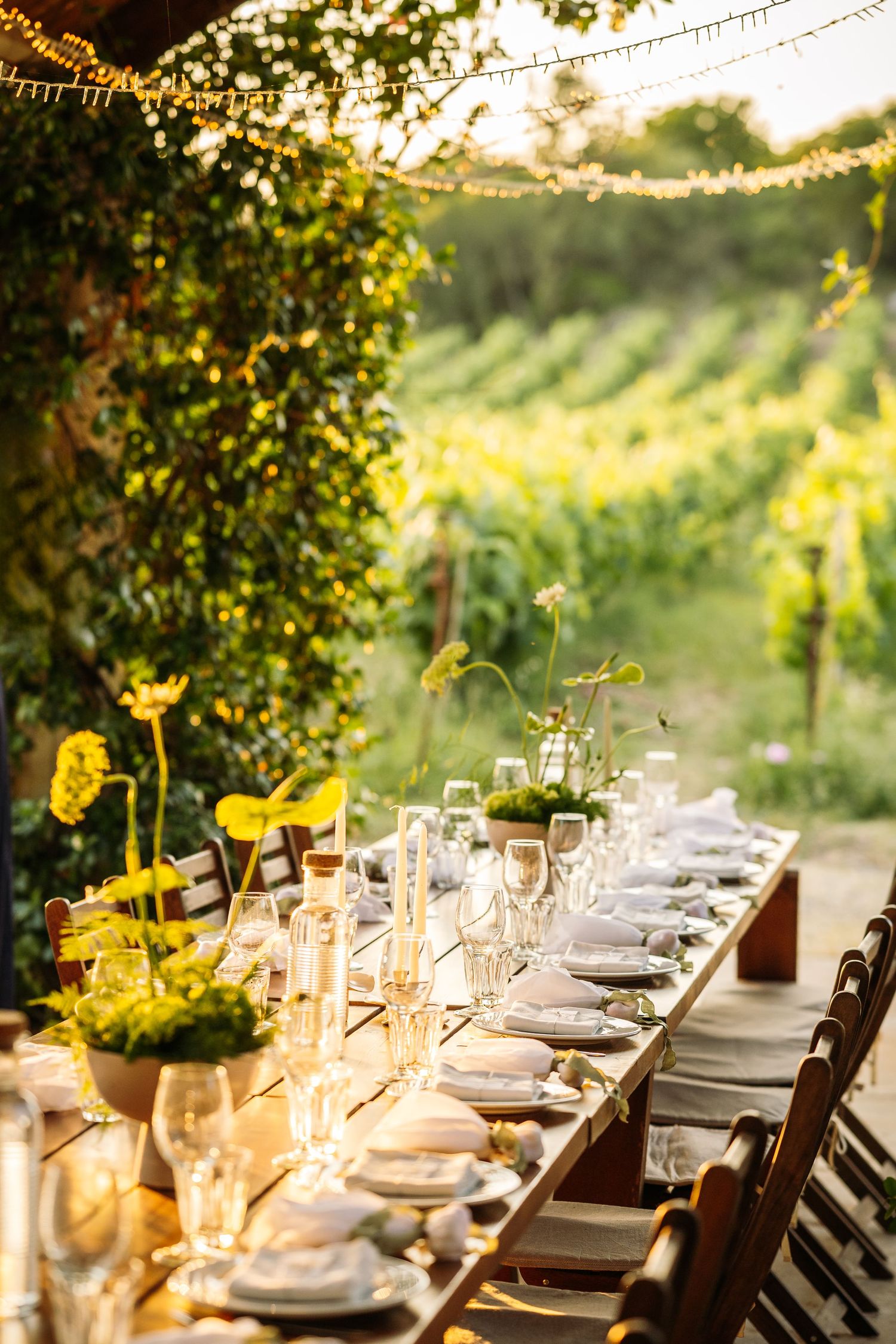 Outdoor wedding reception tables set against a vineyard backdrop with string lights at sunset.