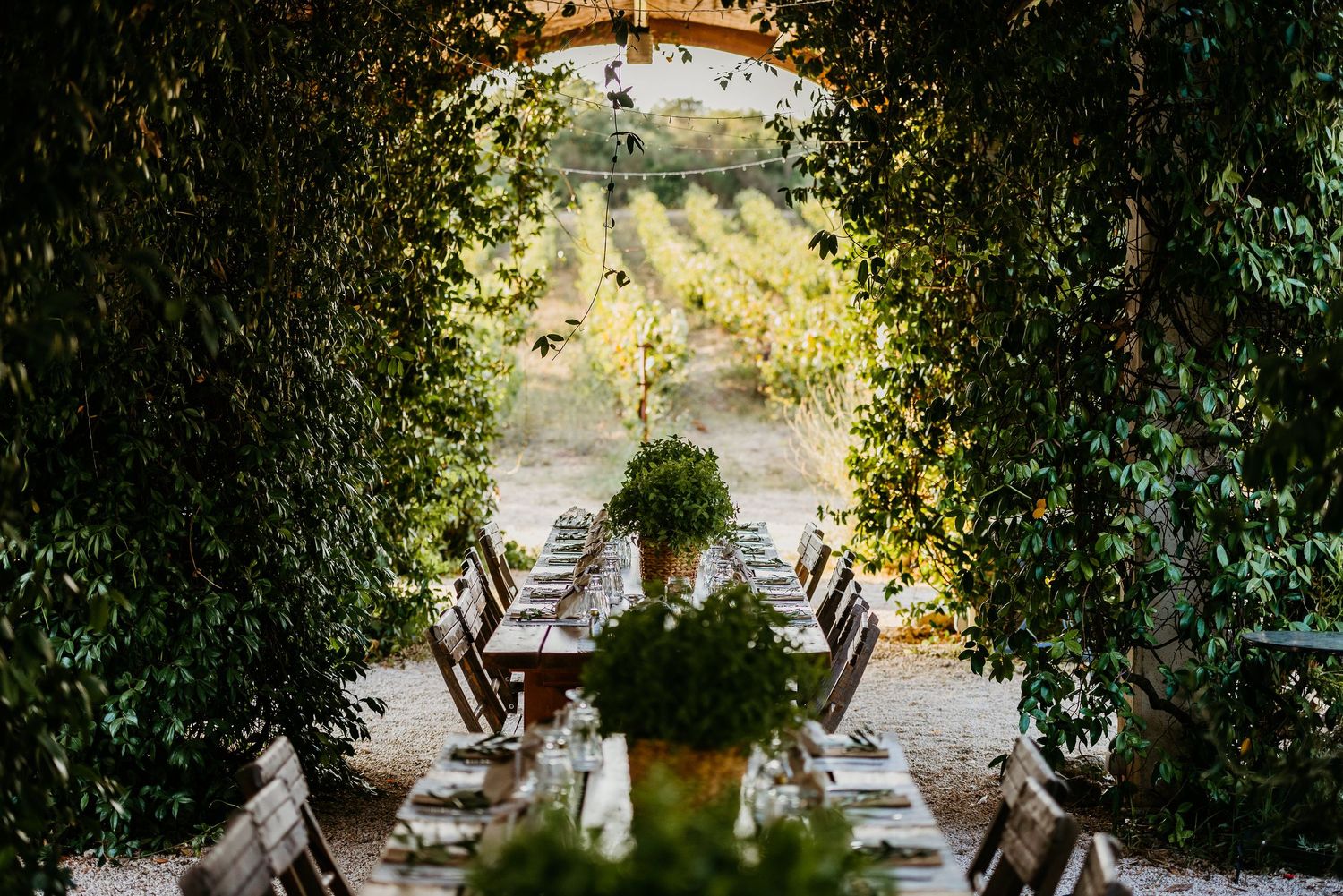 Rustic outdoor wedding venue with long tables set under natural greenery and string lights.