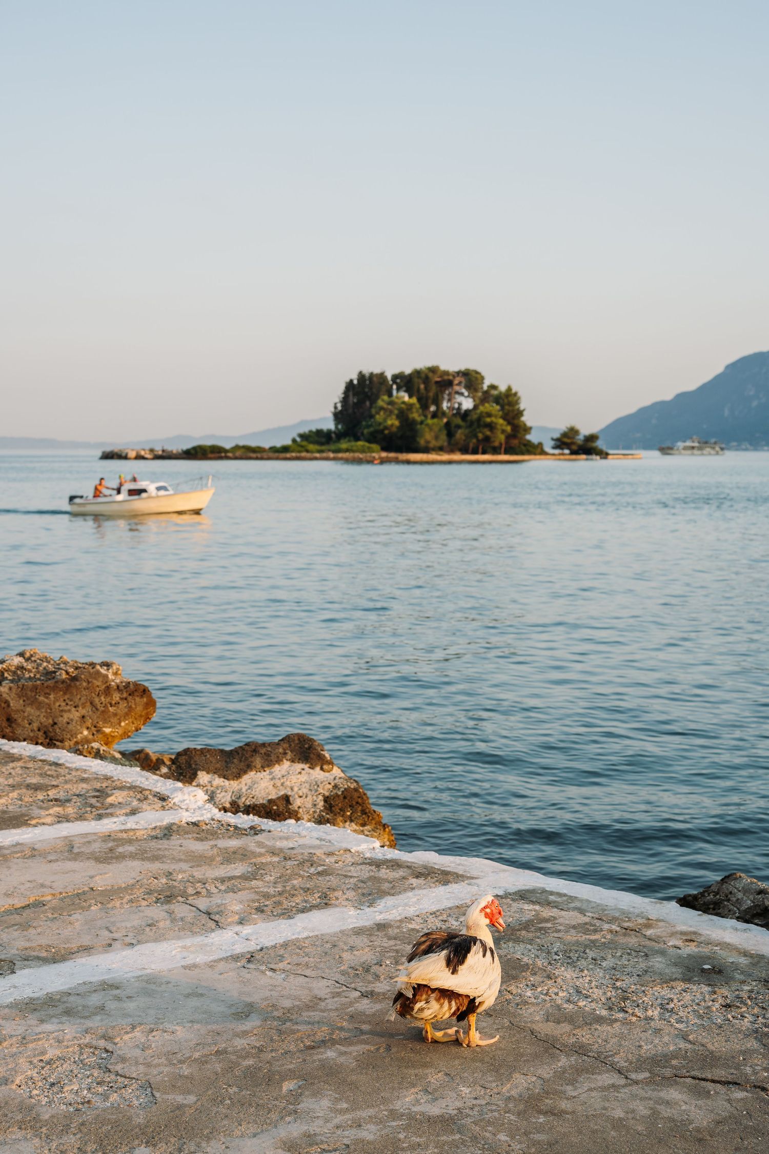 A scenic Mediterranean coastal view with a small boat and duck on a rocky shore near a tree-covered island.