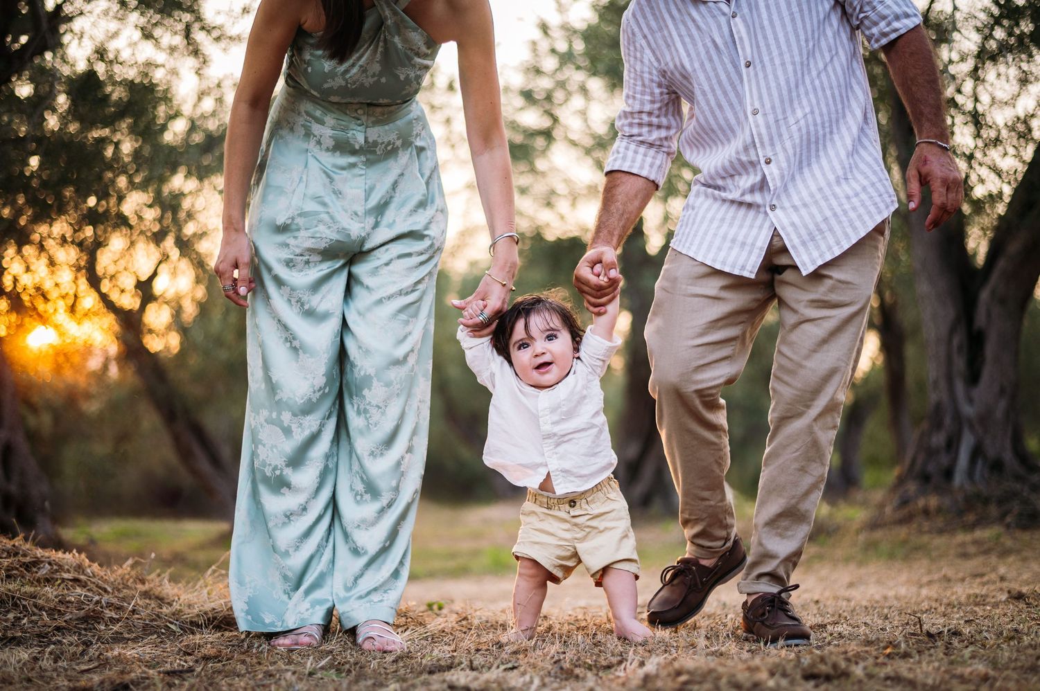 Family walking together at sunset through an olive grove.