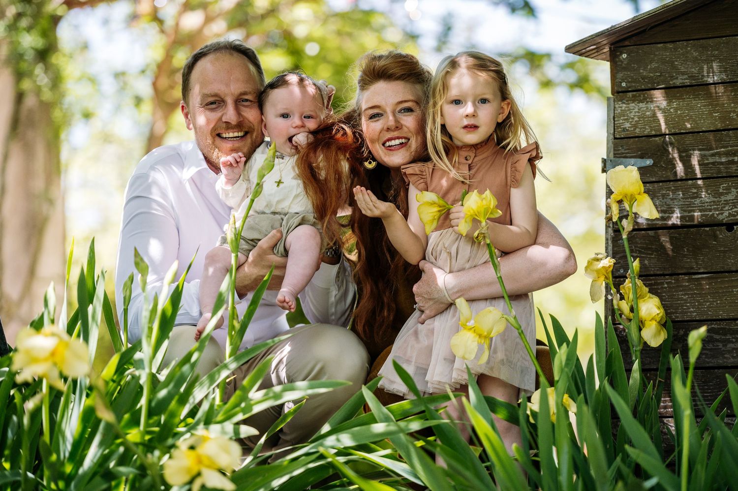 Spring garden portrait with yellow daffodils blooming in the foreground.