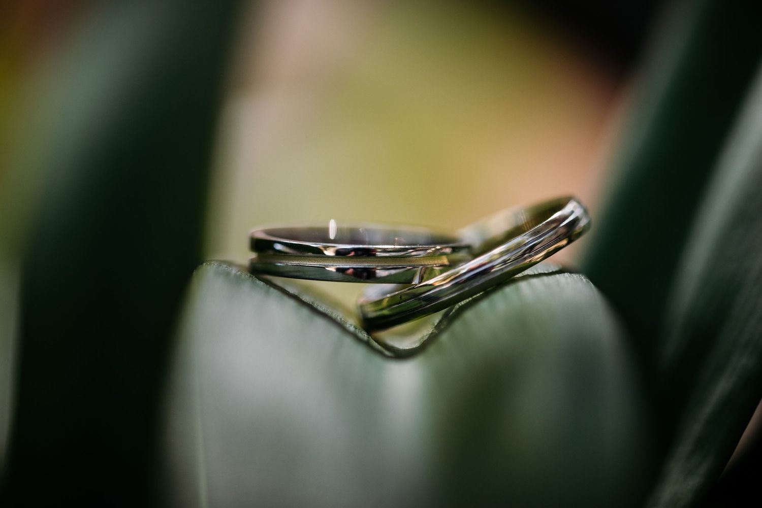 Close-up of elegant wedding rings with chevron design on soft green background.