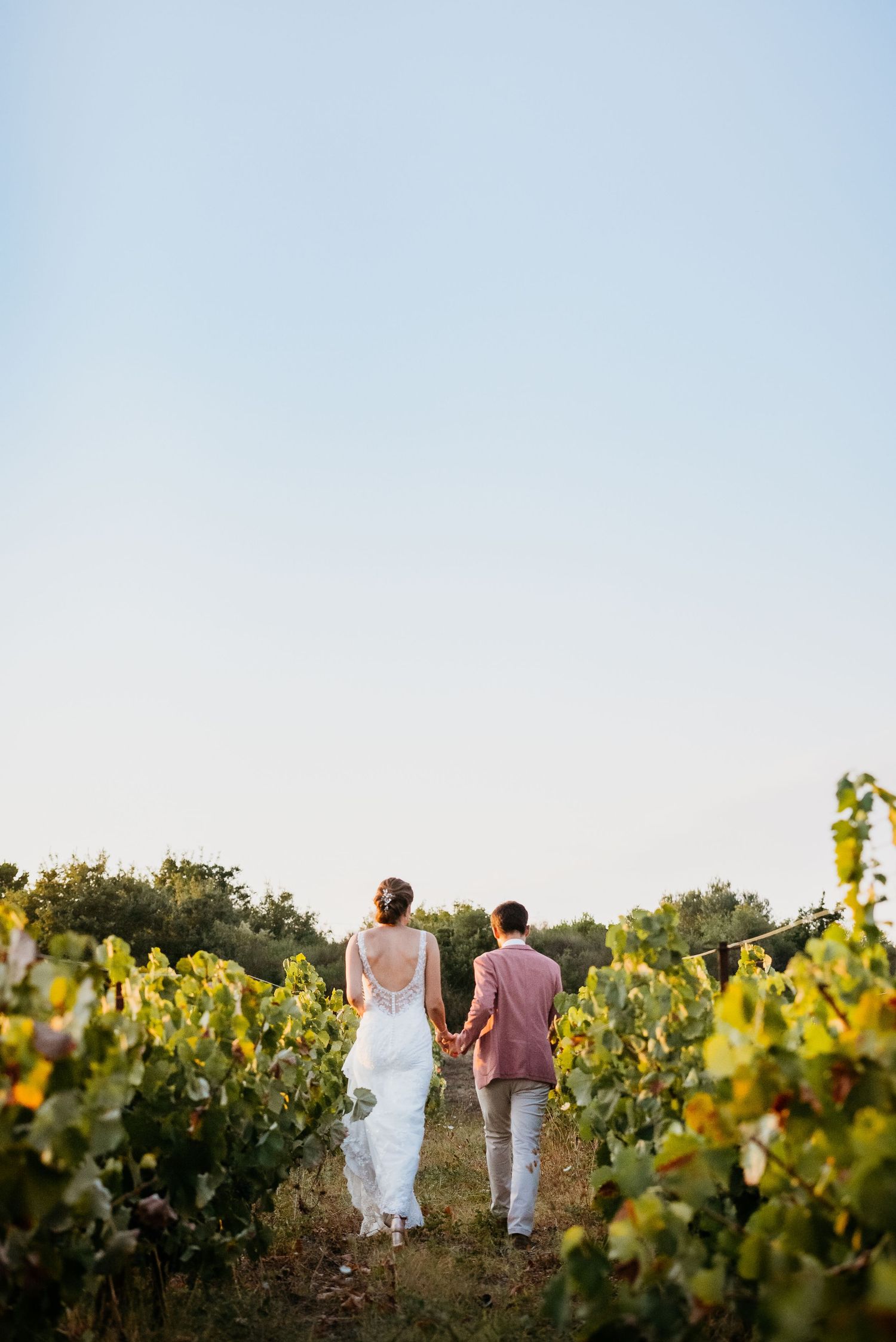 Couple walking through sun-drenched vineyard rows during golden hour.