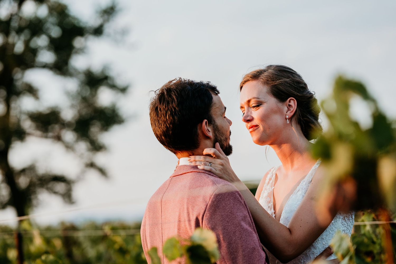 Intimate moment captured between newlyweds in a sunlit vineyard setting.