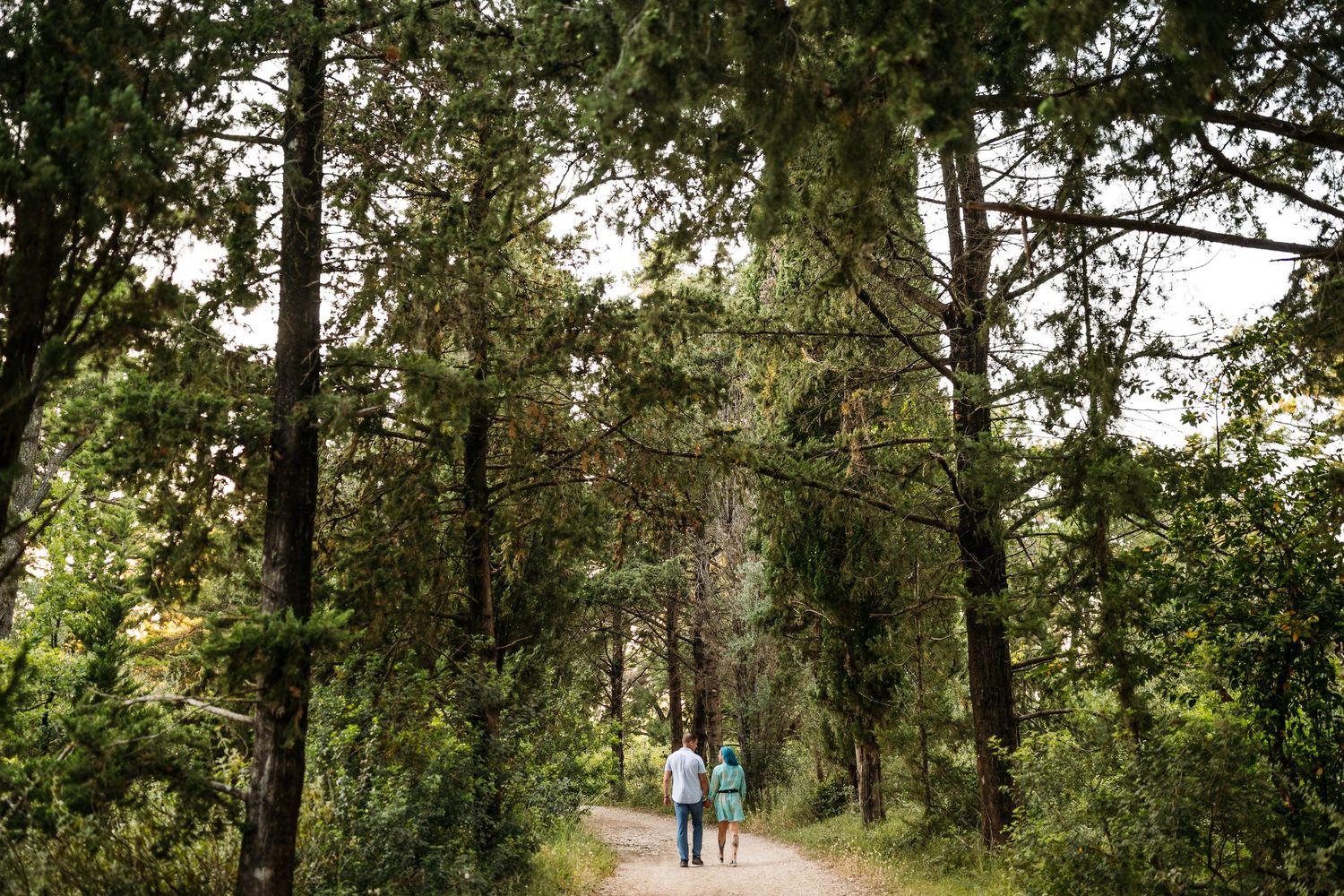 A couple walks hand in hand down a tree-lined path in a lush green forest.