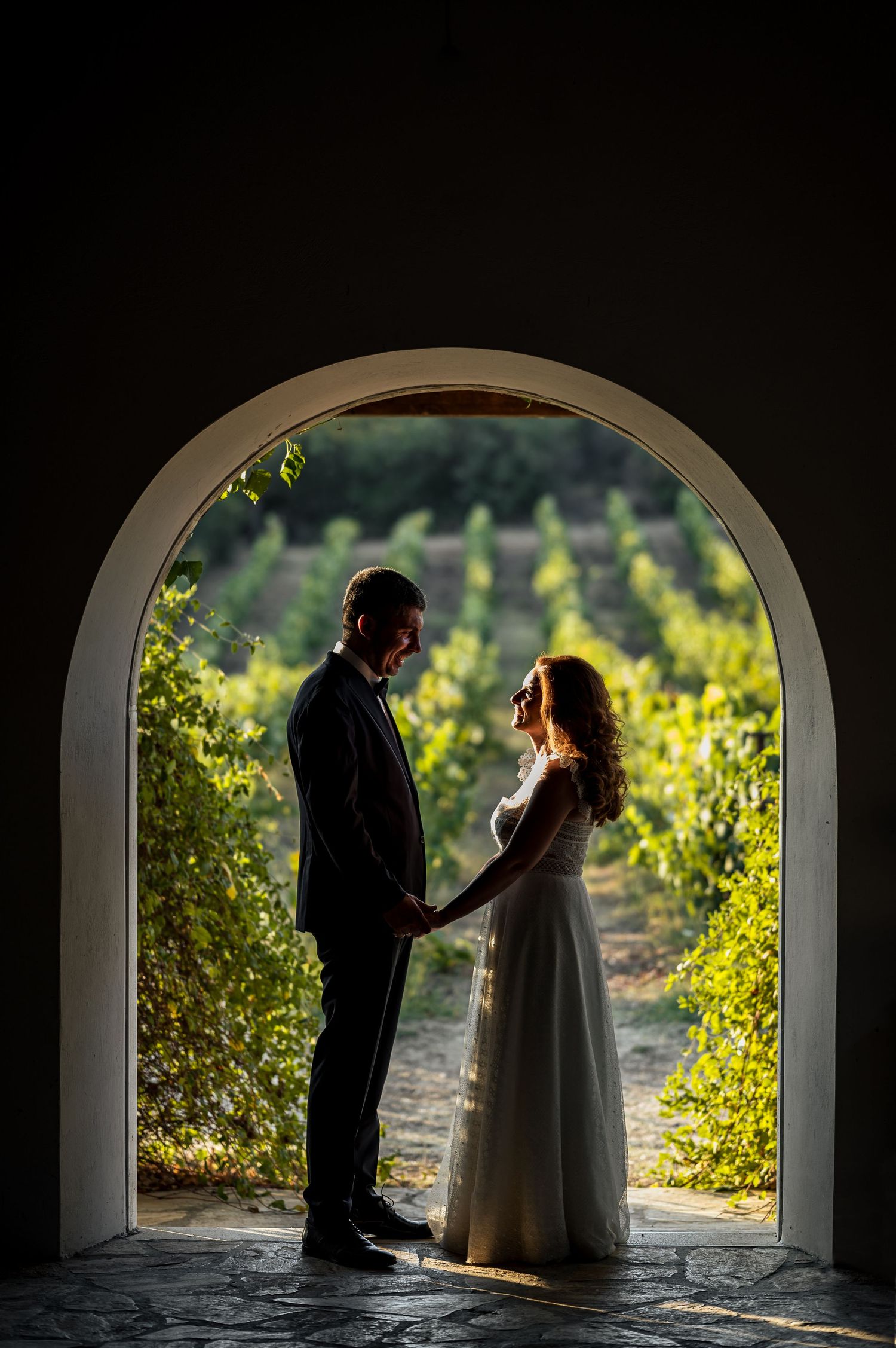 Romantic silhouettes framed within a stone archway overlooking a sunlit vineyard.