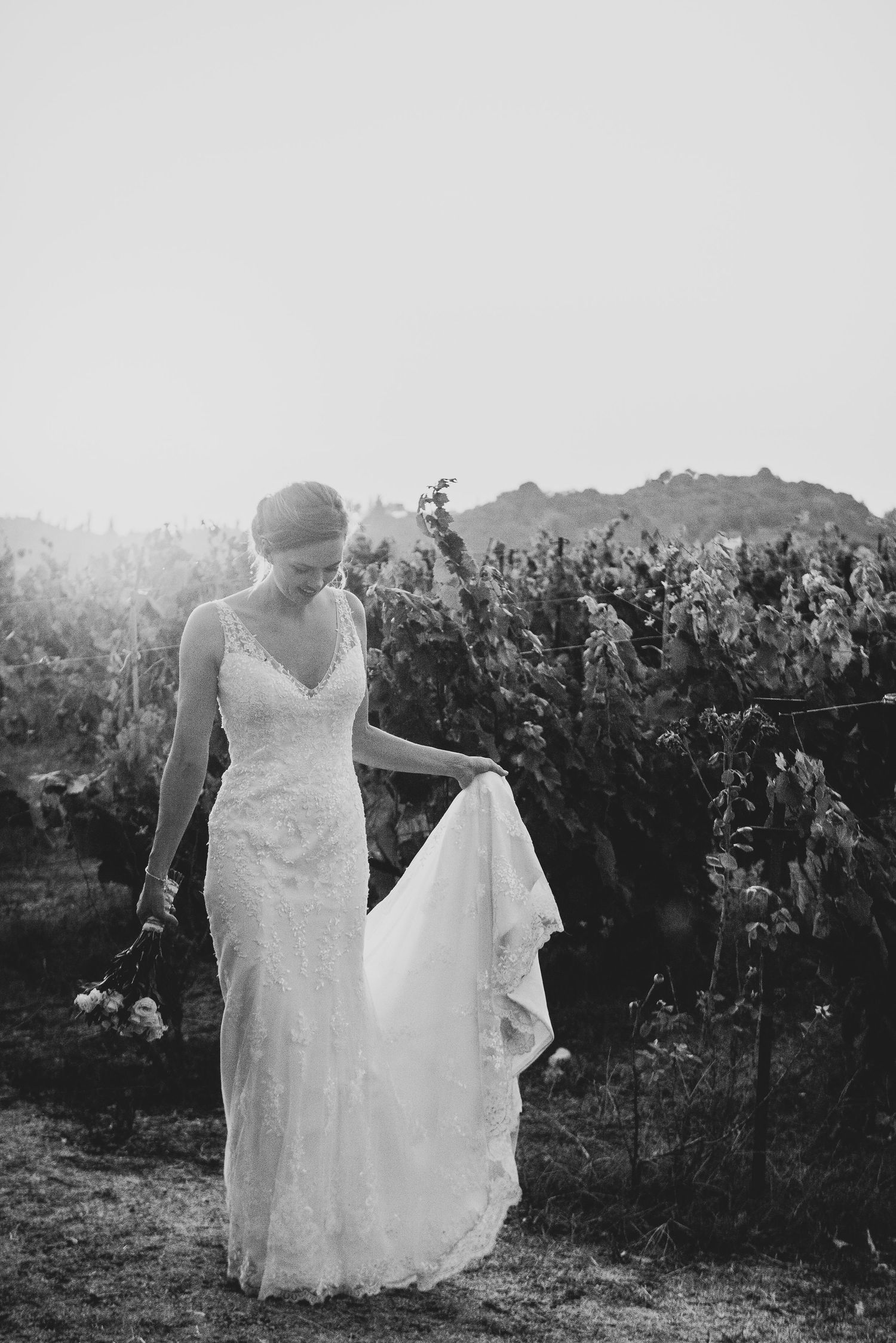 A black and white photograph showing a bride's lace dress flowing among vineyard rows.