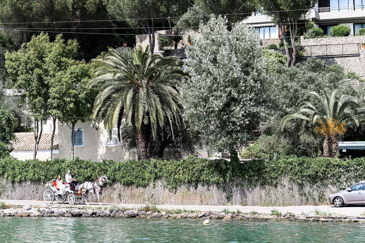 Mediterranean coastal landscape with palm trees and waterfront buildings.