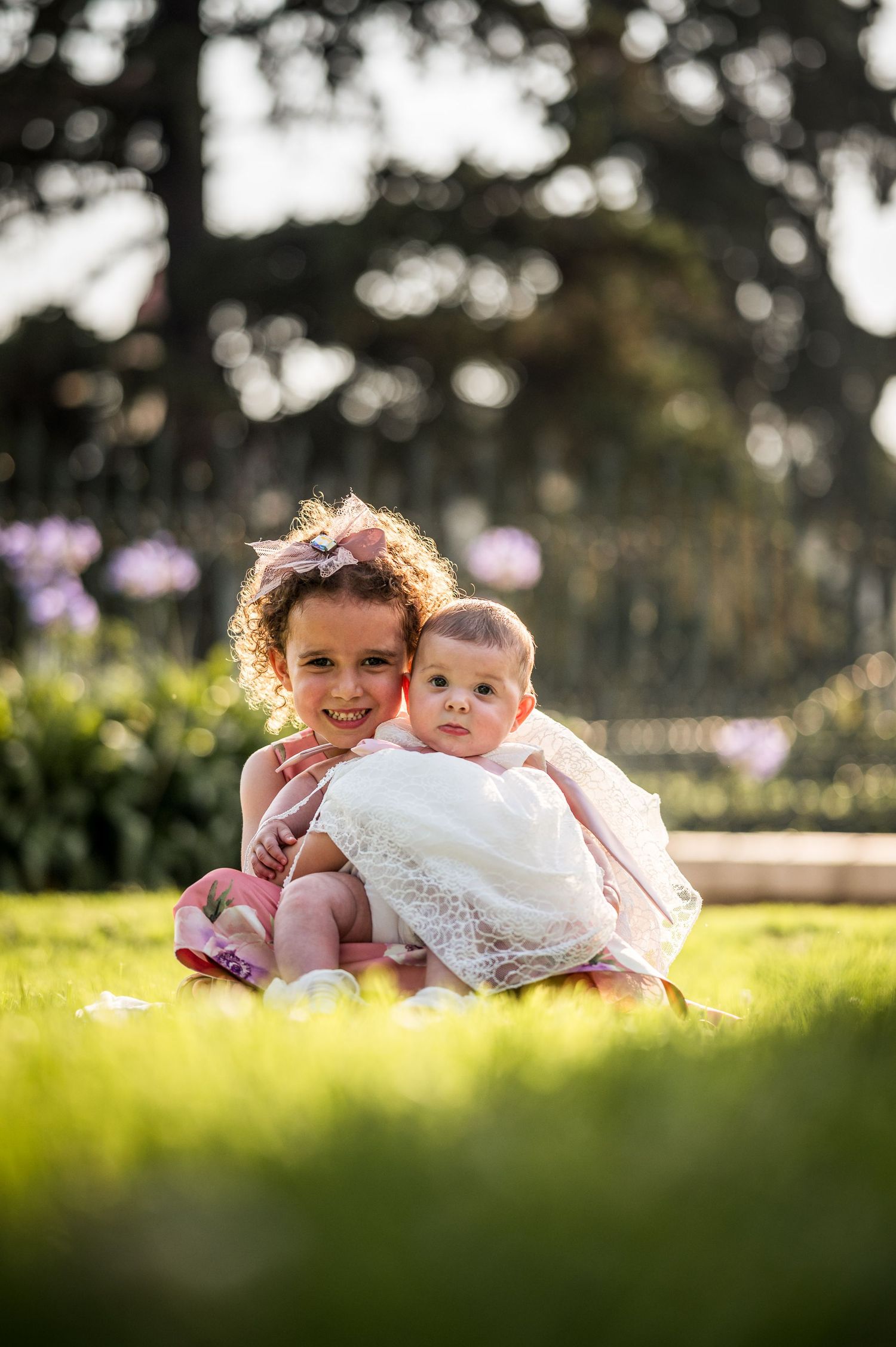 Sunlit garden portrait on grass with purple flowers in background.