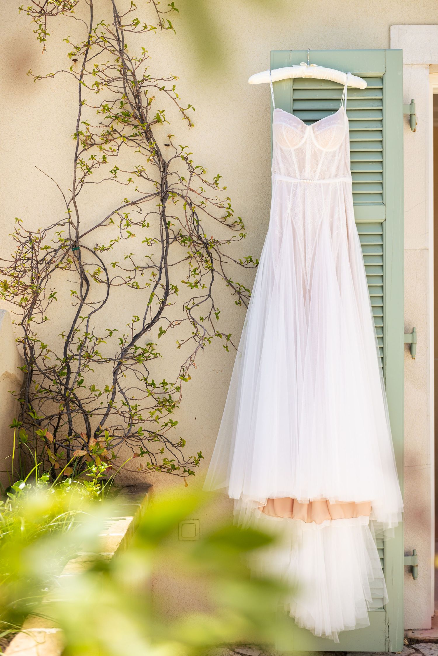 White wedding dress hanging on green shutters against a cream-colored wall with climbing vines.