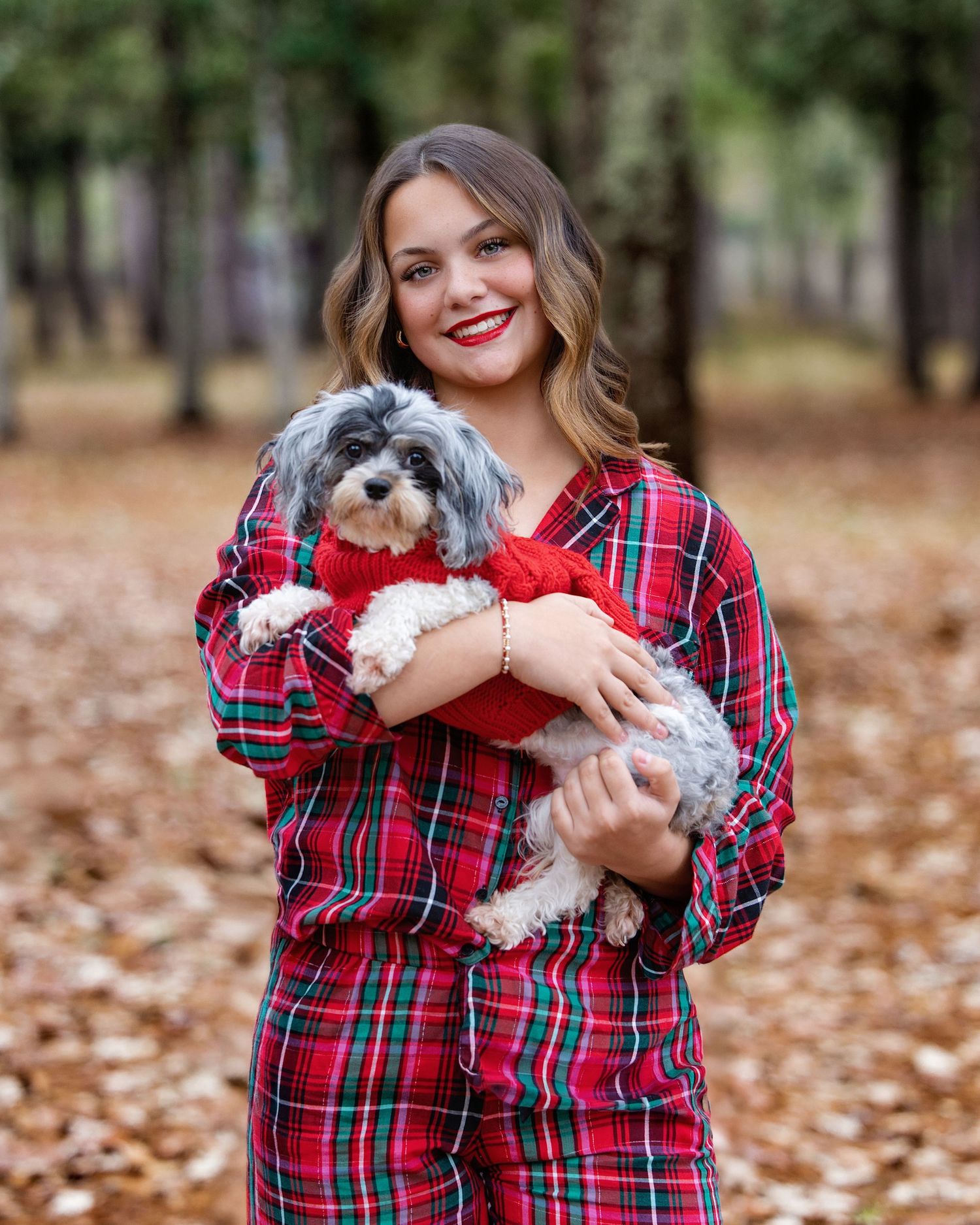A photo series showing someone in plaid holding and playing with a small grey and white dog.