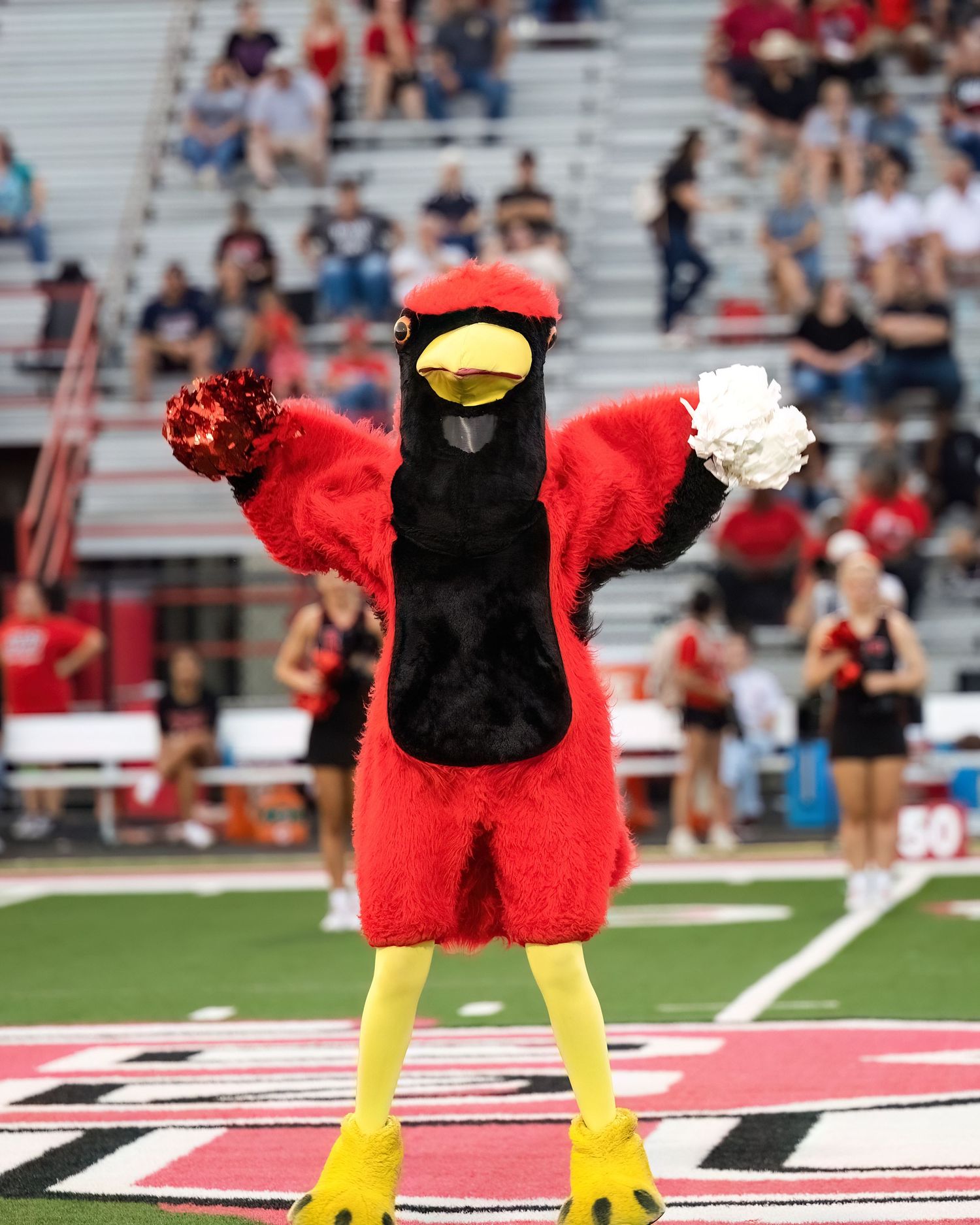 A red and black mascot character performing energetic dance moves on a football field.