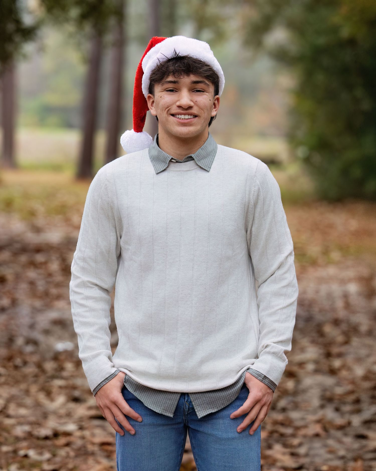 Carson - Christmas in the woods