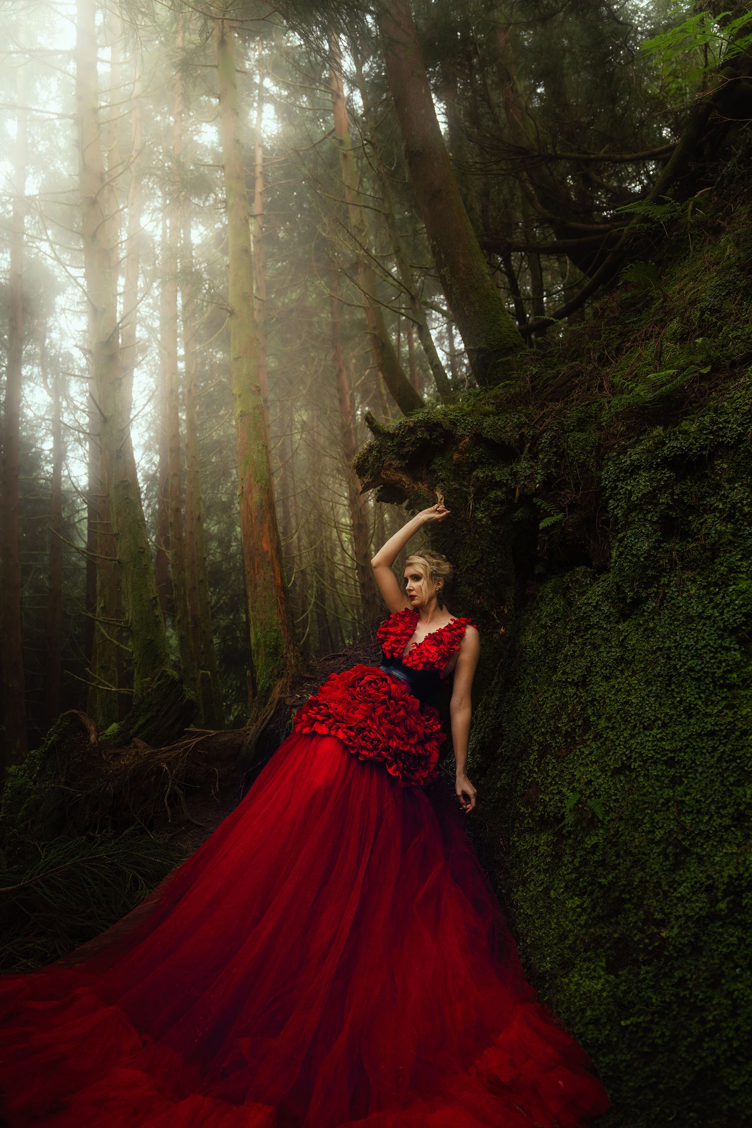 A blonde woman in a dramatic red ball gown poses in a misty sunlit forest with mossy rocks.