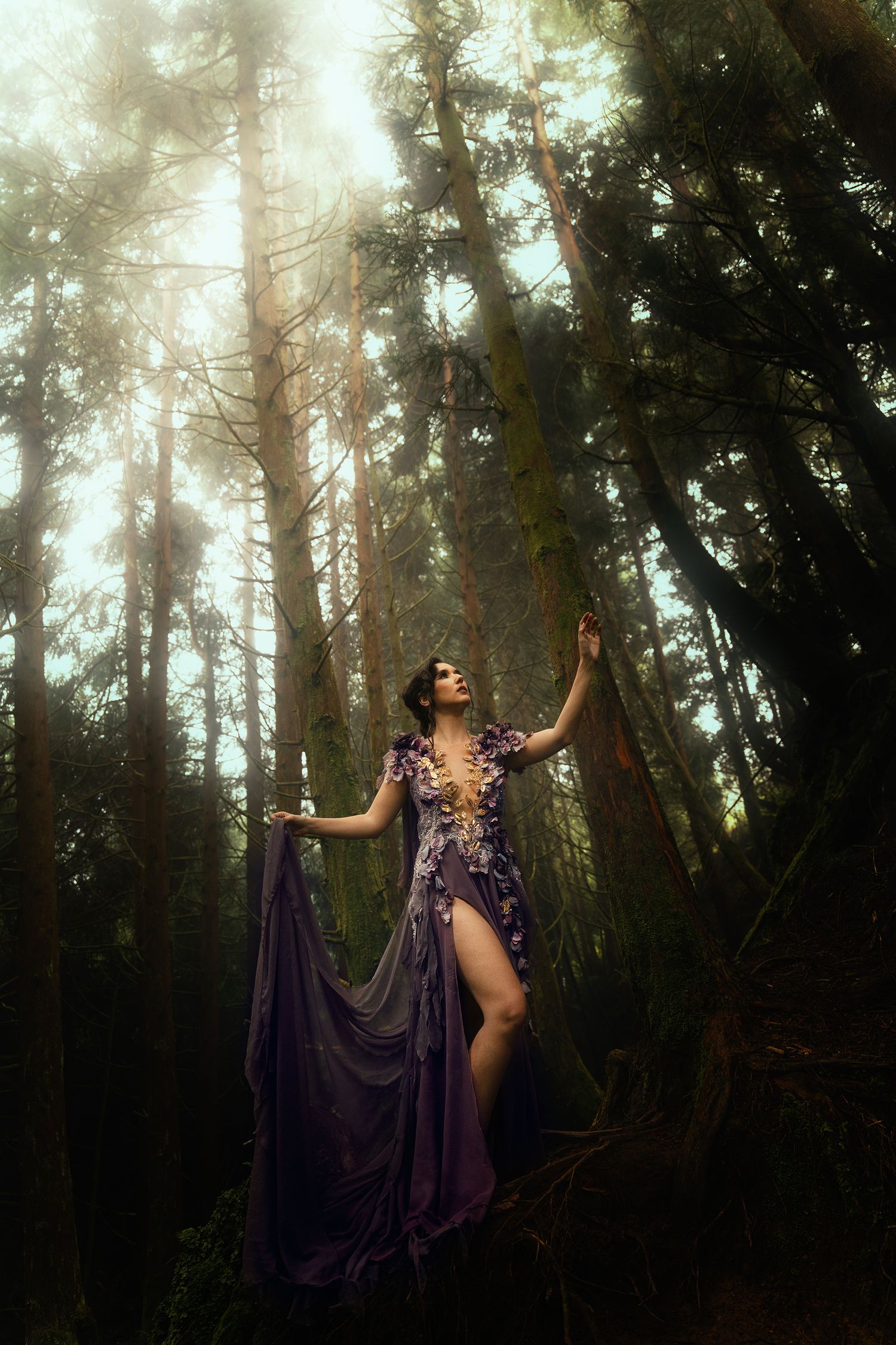 Woman in flowing purple floral gown stands among tall misty forest trees in ethereal light.
