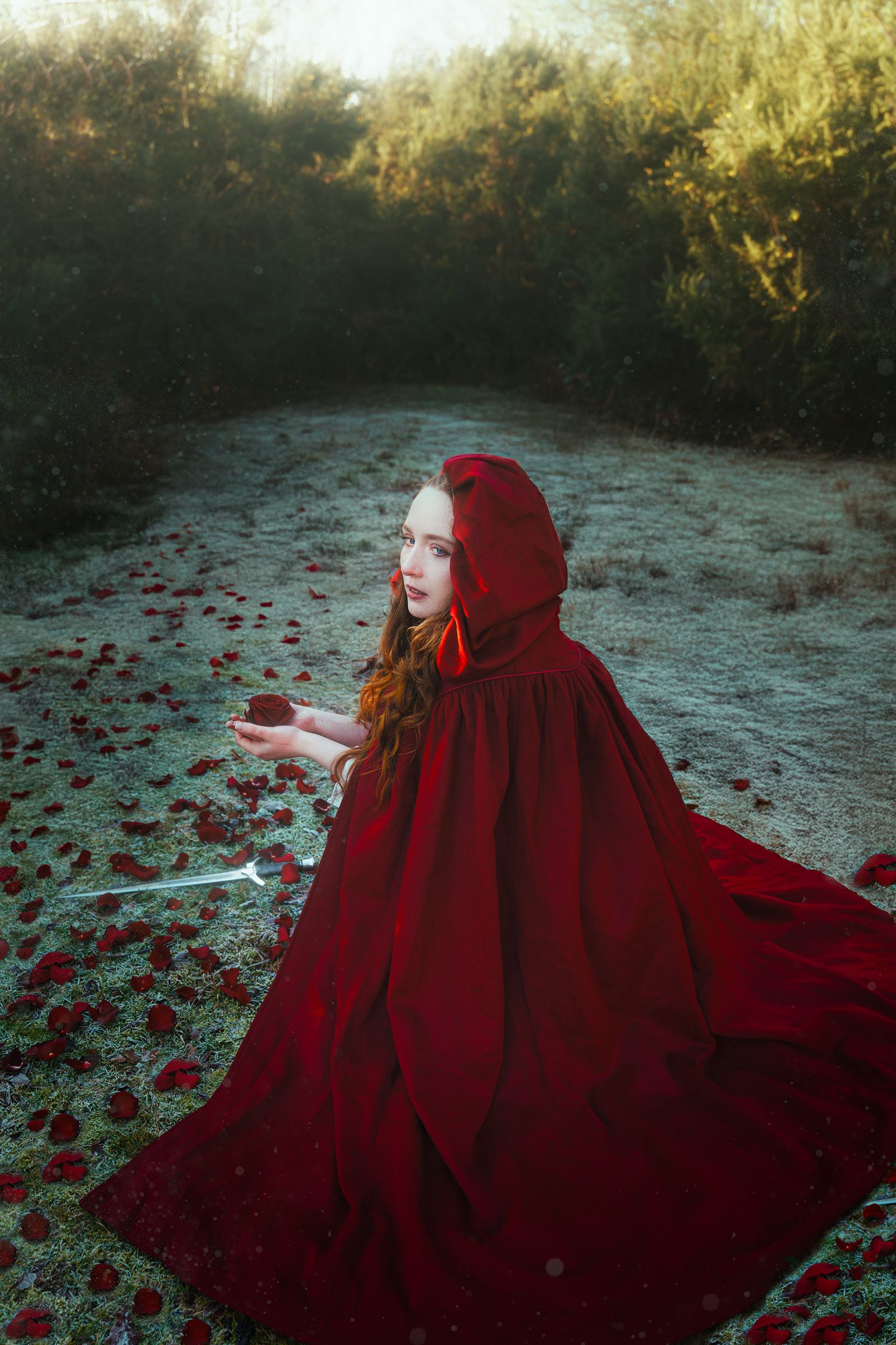 Woman in dramatic red hooded cape holding rose petals on a misty forest path.