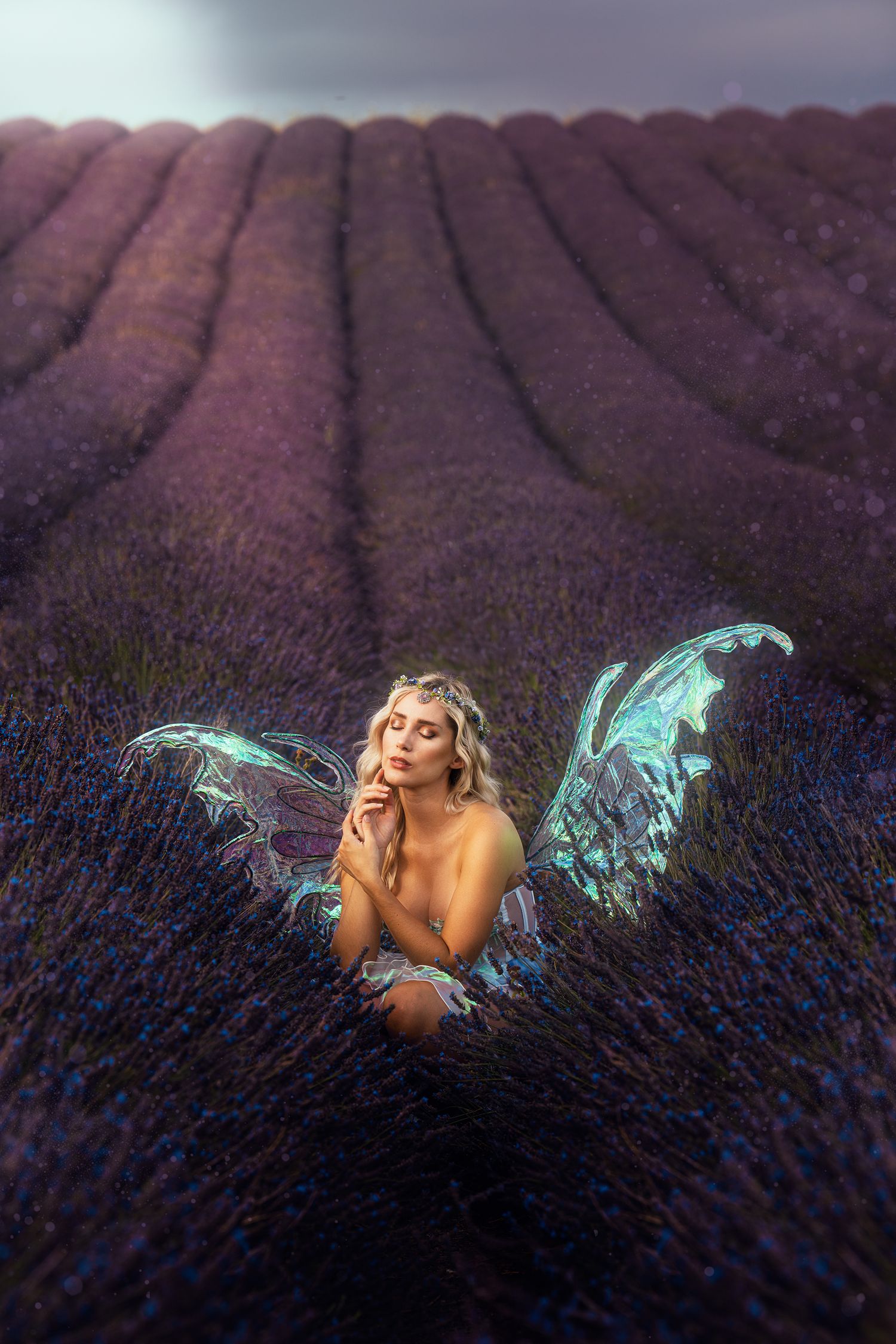 A blonde fairy with iridescent wings sits dreamily in vast purple lavender fields under stormy sky.