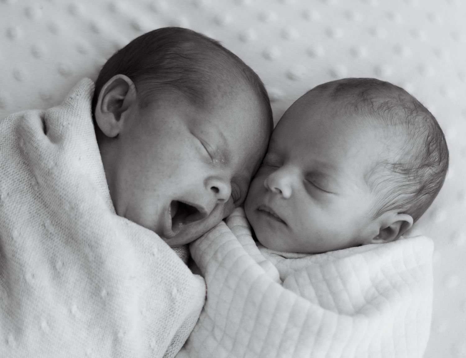 Twin newborn photography.
