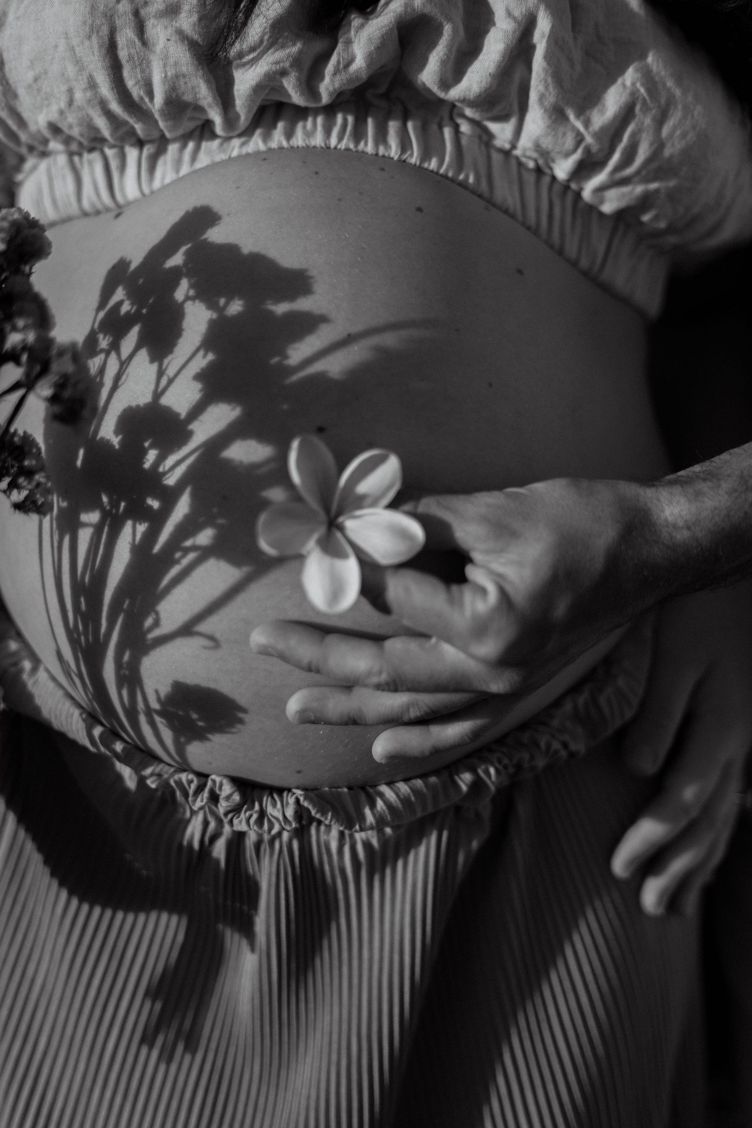 Maternity portrait of mother in natural light.