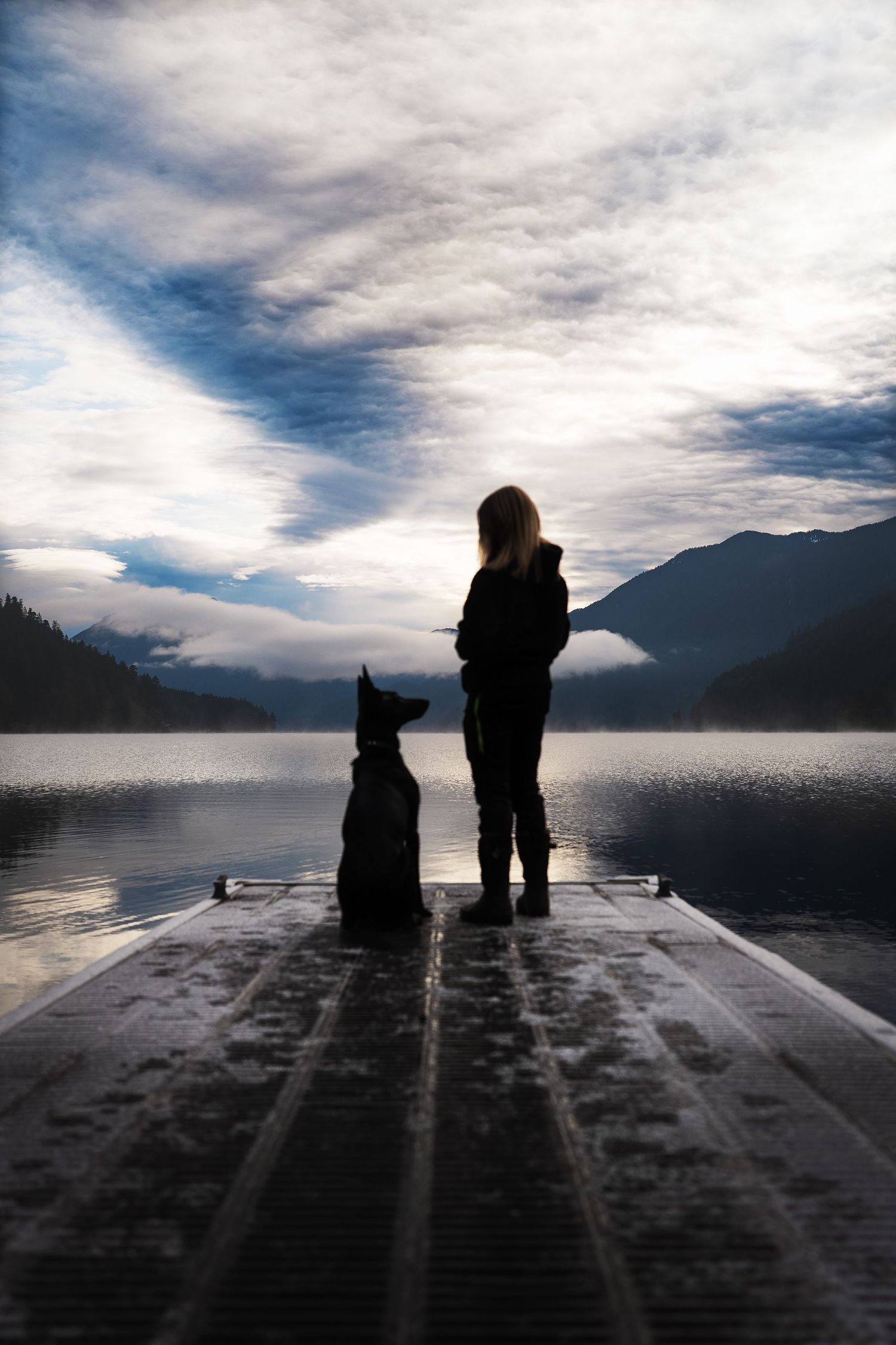 Dog Photography in the Olympic Peninsula
