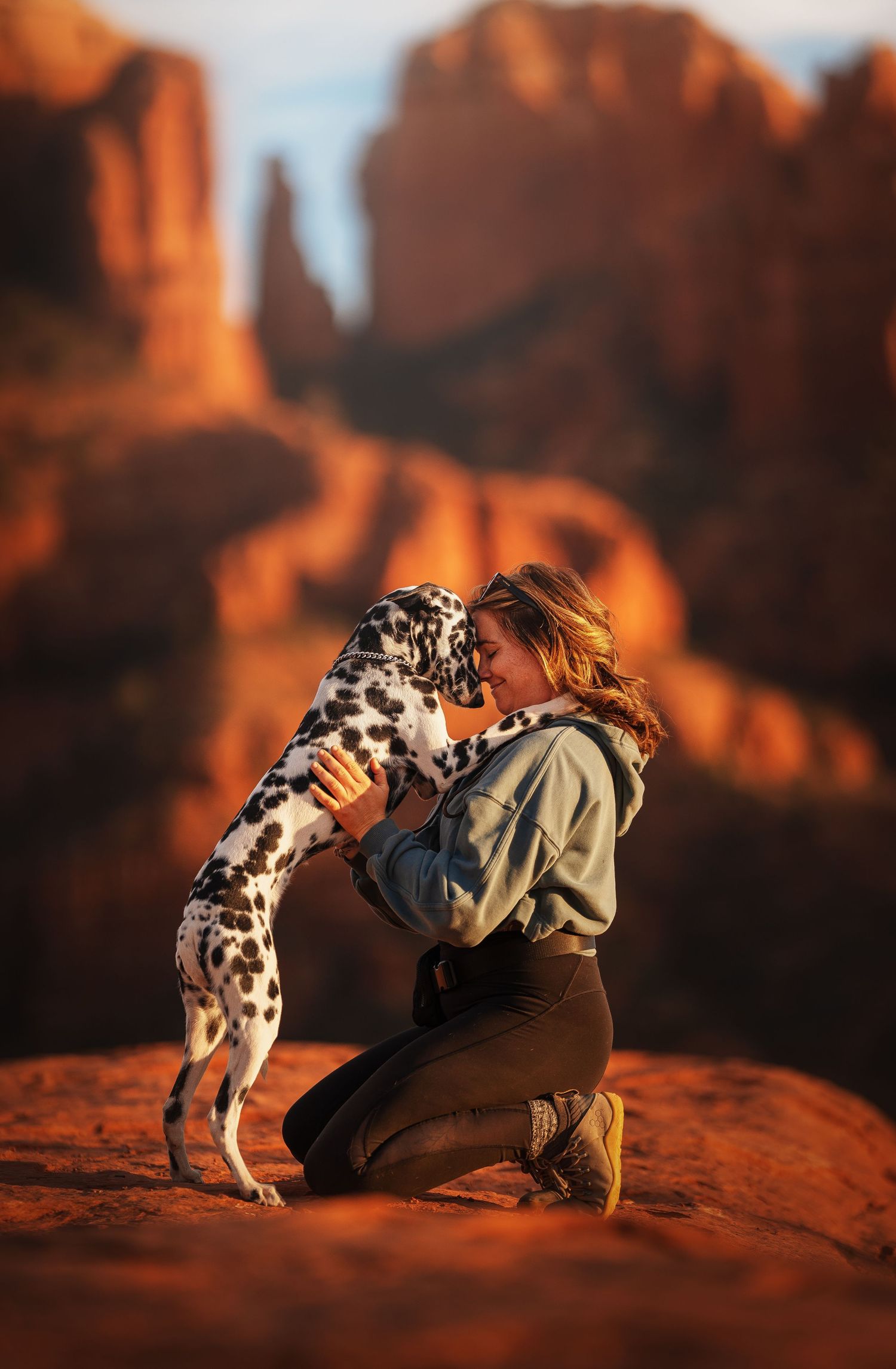 Dog Photography