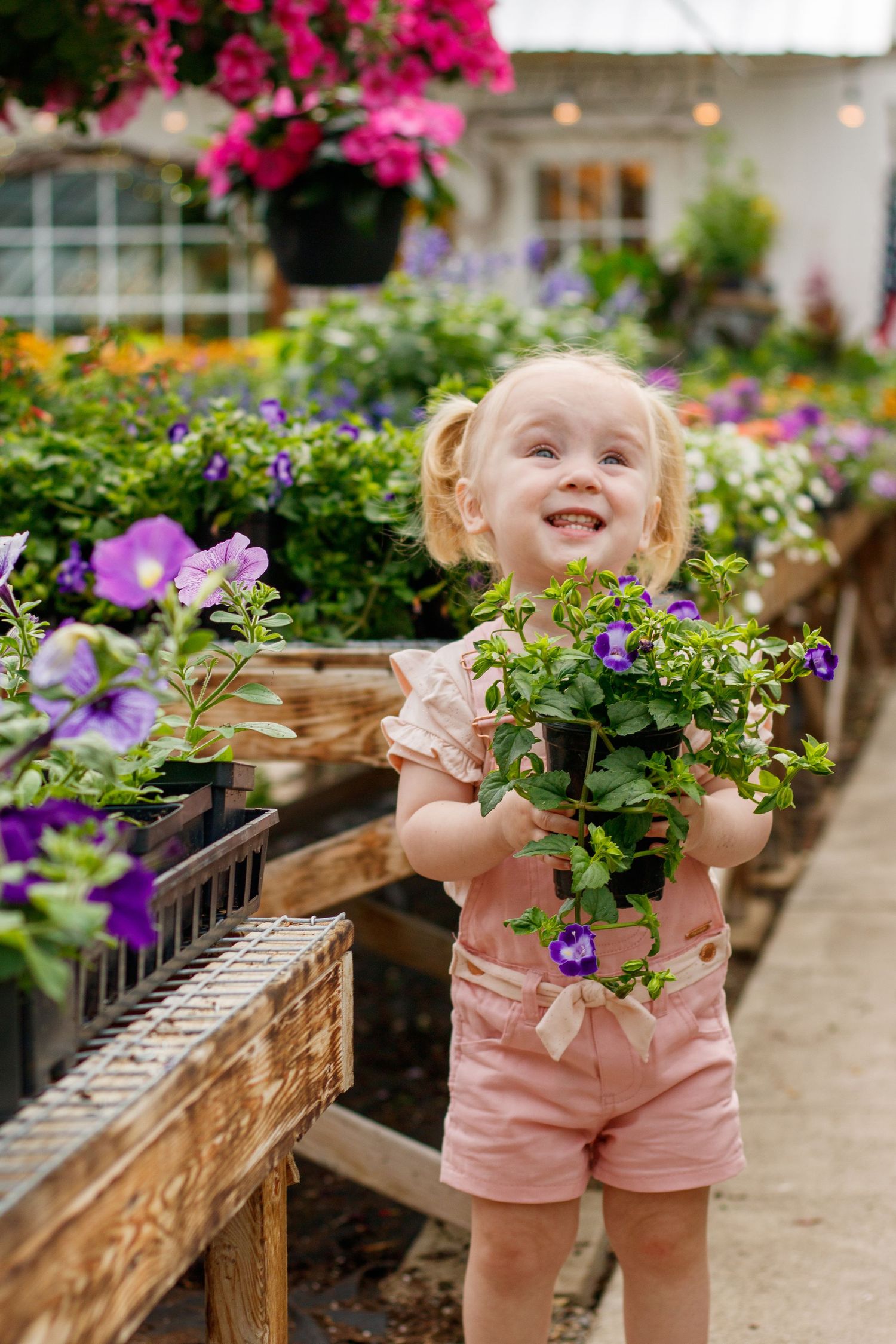 Toddler in pink outfit exploring greenhouse filled with vibrant hanging flowers and plants.