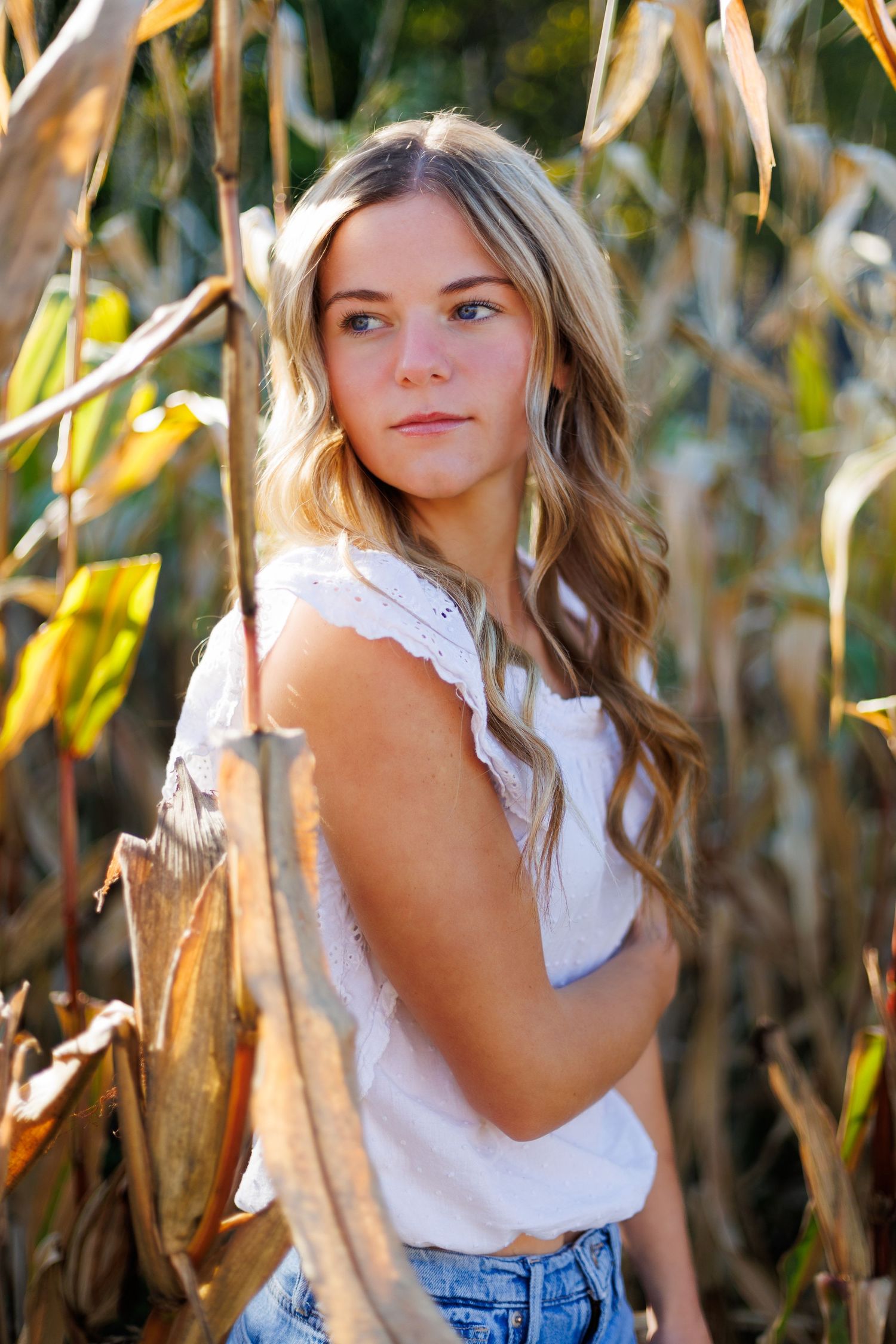 Natural light portraits taken among tall corn stalks during golden hour.