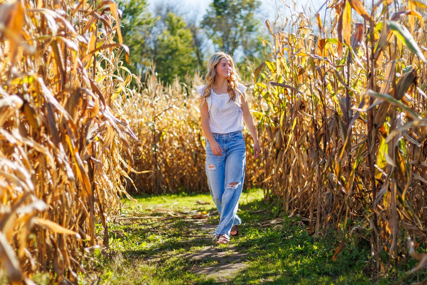 Outdoor photoshoot in a golden cornfield with natural lighting and rustic scenery.