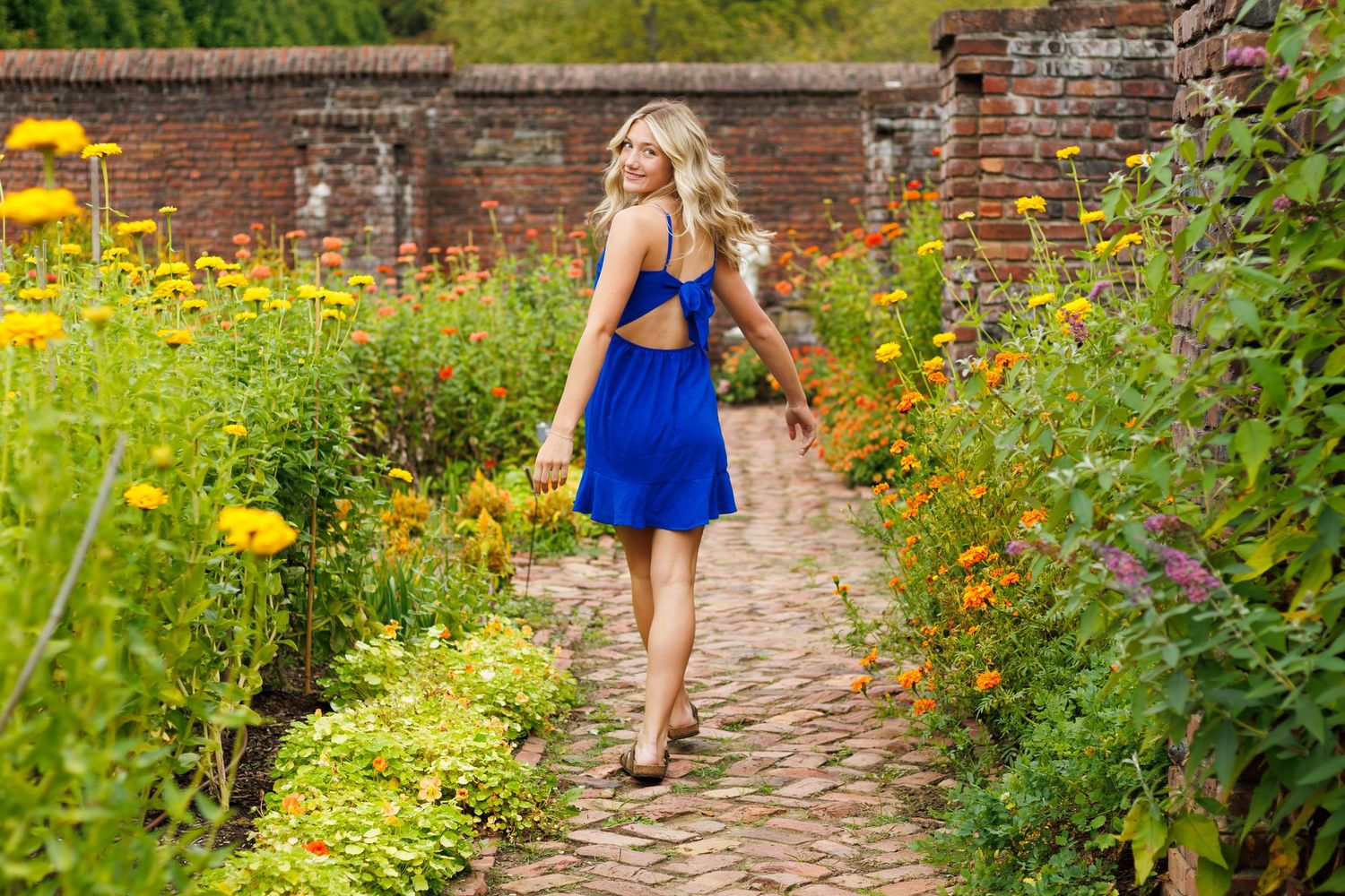 Walking shots along a cobblestone path surrounded by colorful summer flowers.