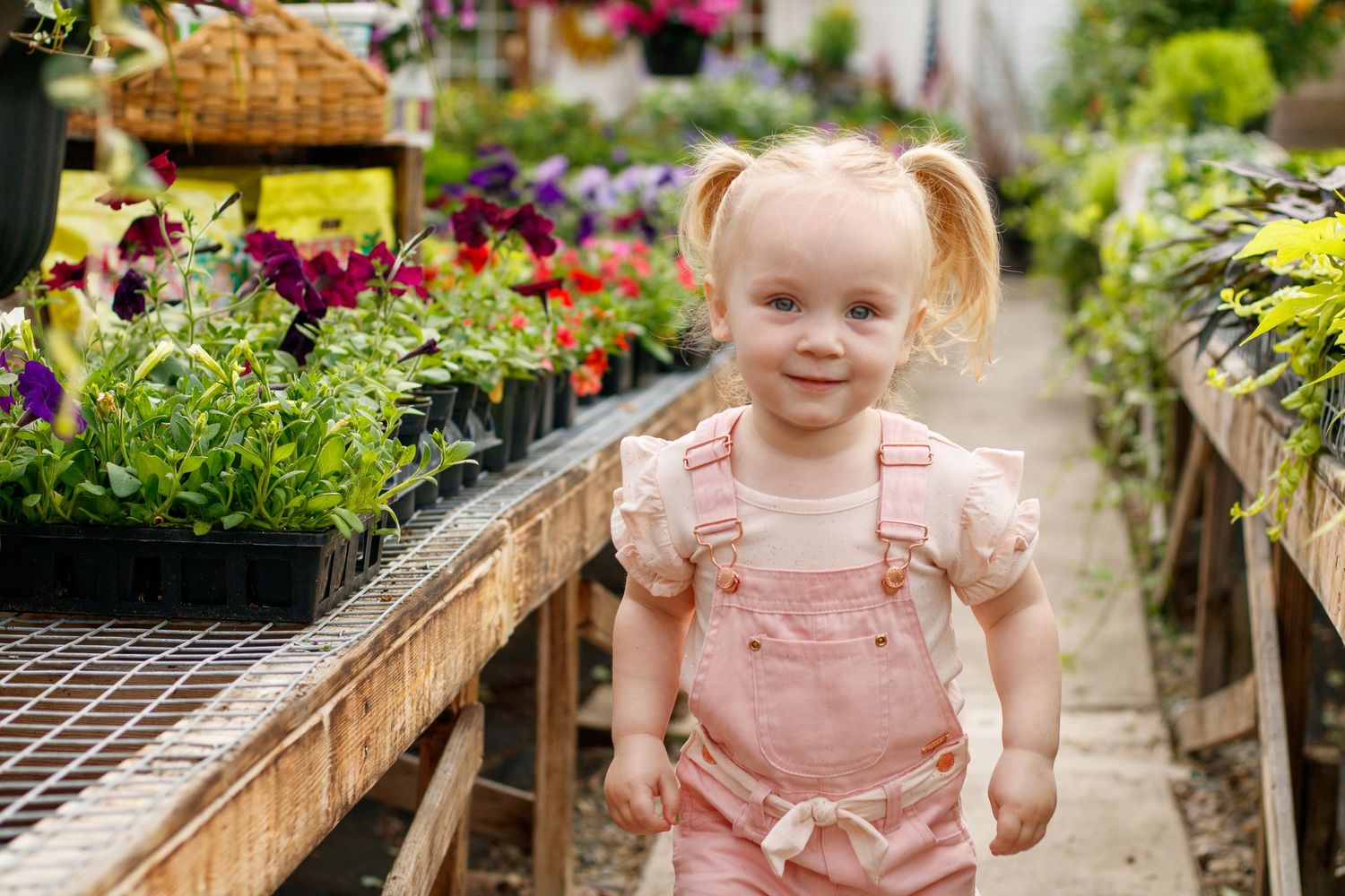Child exploring greenhouse walkway lined with colorful spring flowers and plants.