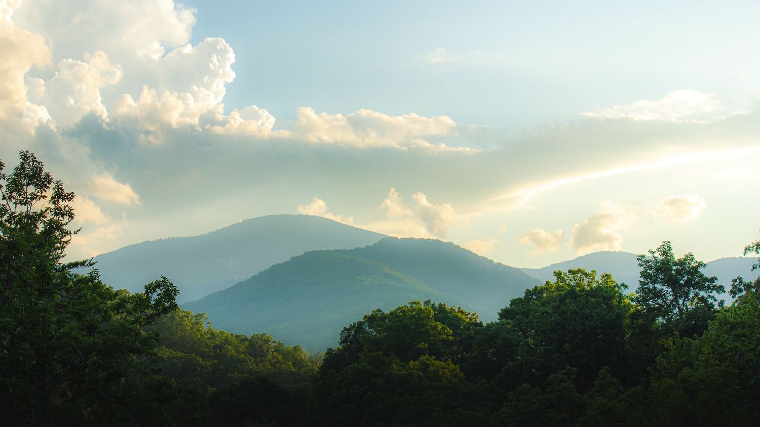 Wooded mountain vistas of North Carolina